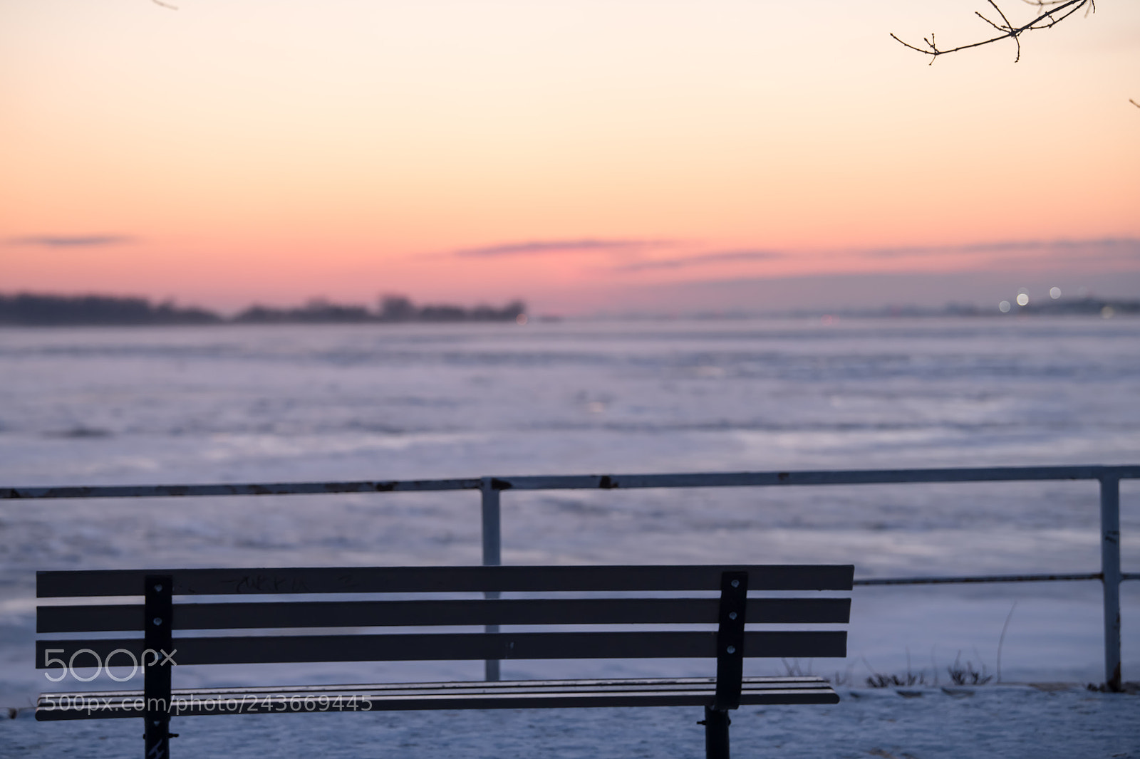 Nikon D850 sample photo. Lake view photography
