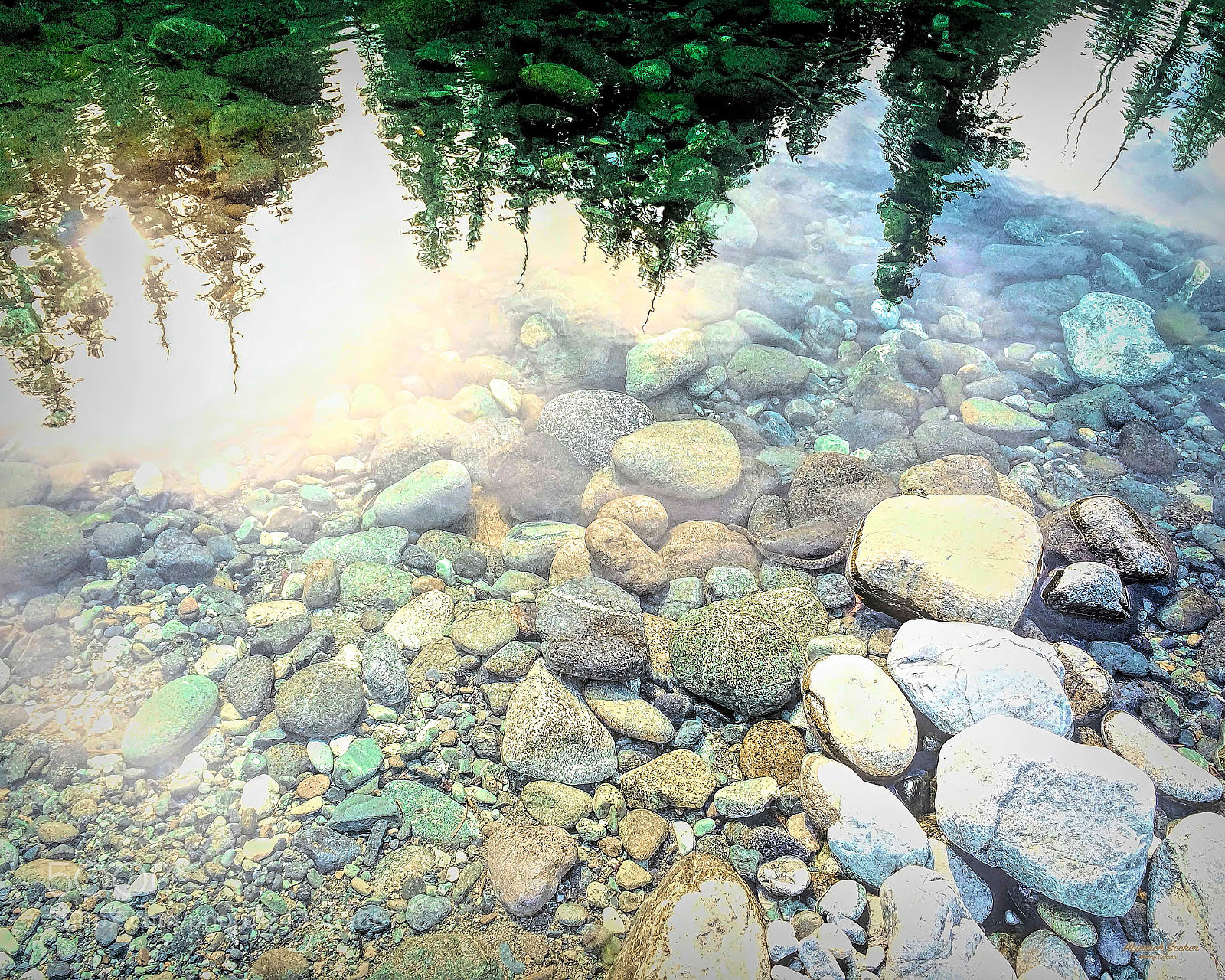 Apple iPhone 5s sample photo. 2014-08-08 redwoods reflect onsnake photography