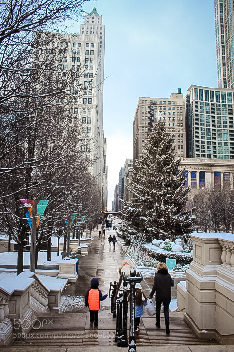 Canon EOS 1200D (EOS Rebel T5 / EOS Kiss X70 / EOS Hi) sample photo. True chicago photography