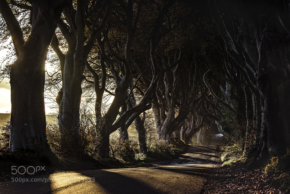 Nikon D810 sample photo. The most mystifyingly cool photography