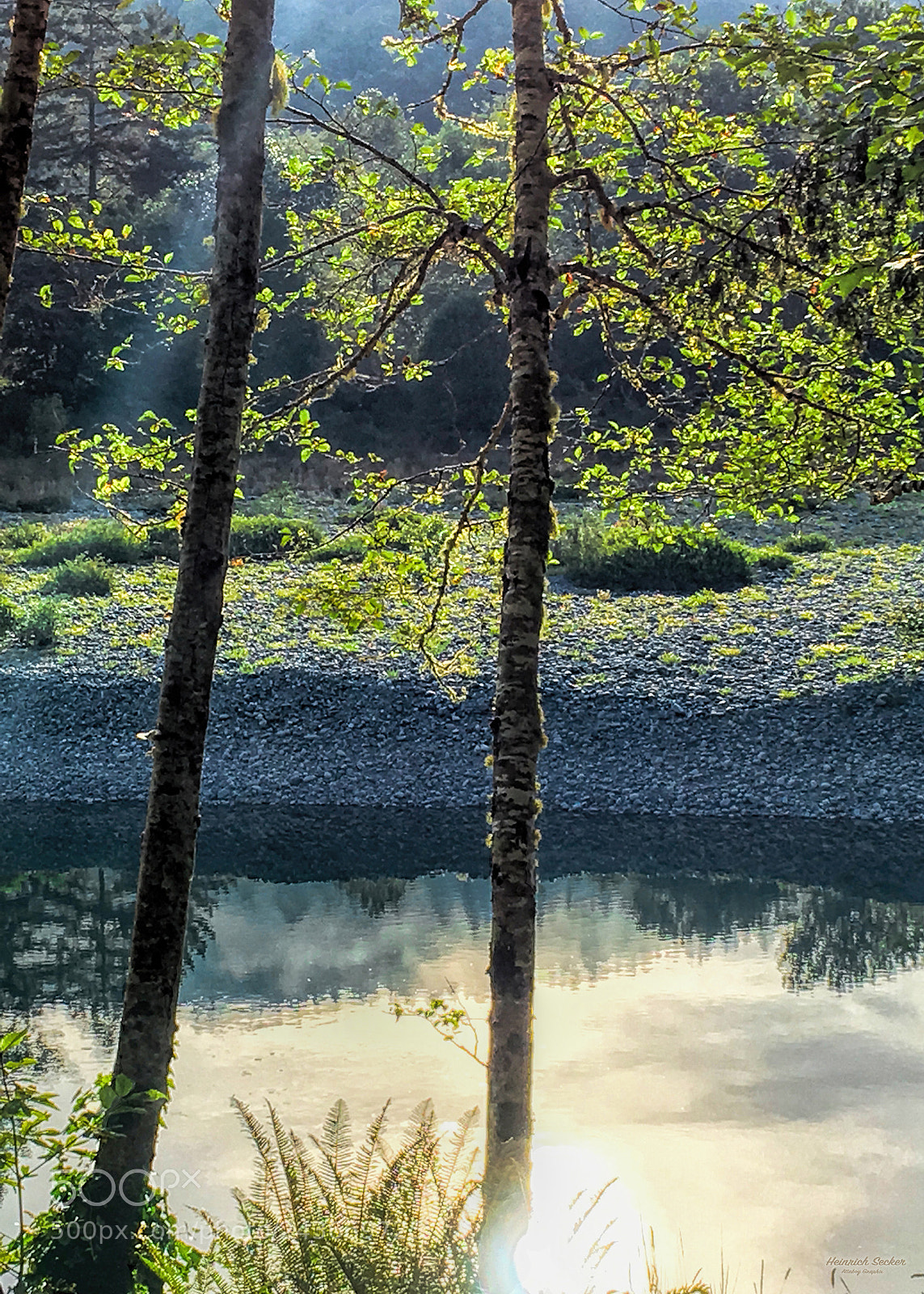 Apple iPhone SE sample photo. Treetop lovr webflo photography