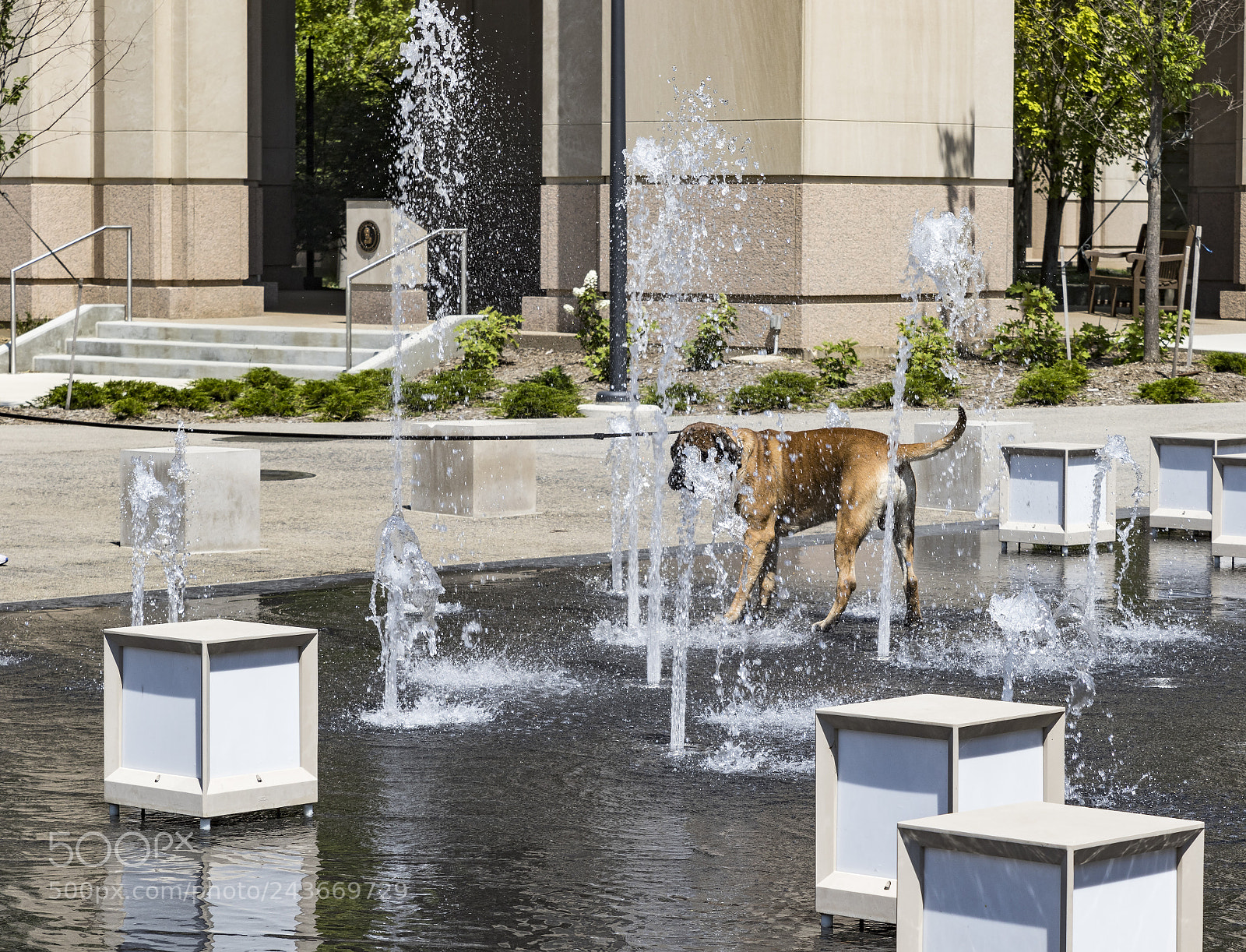 Canon EOS 7D Mark II sample photo. Cooling off photography