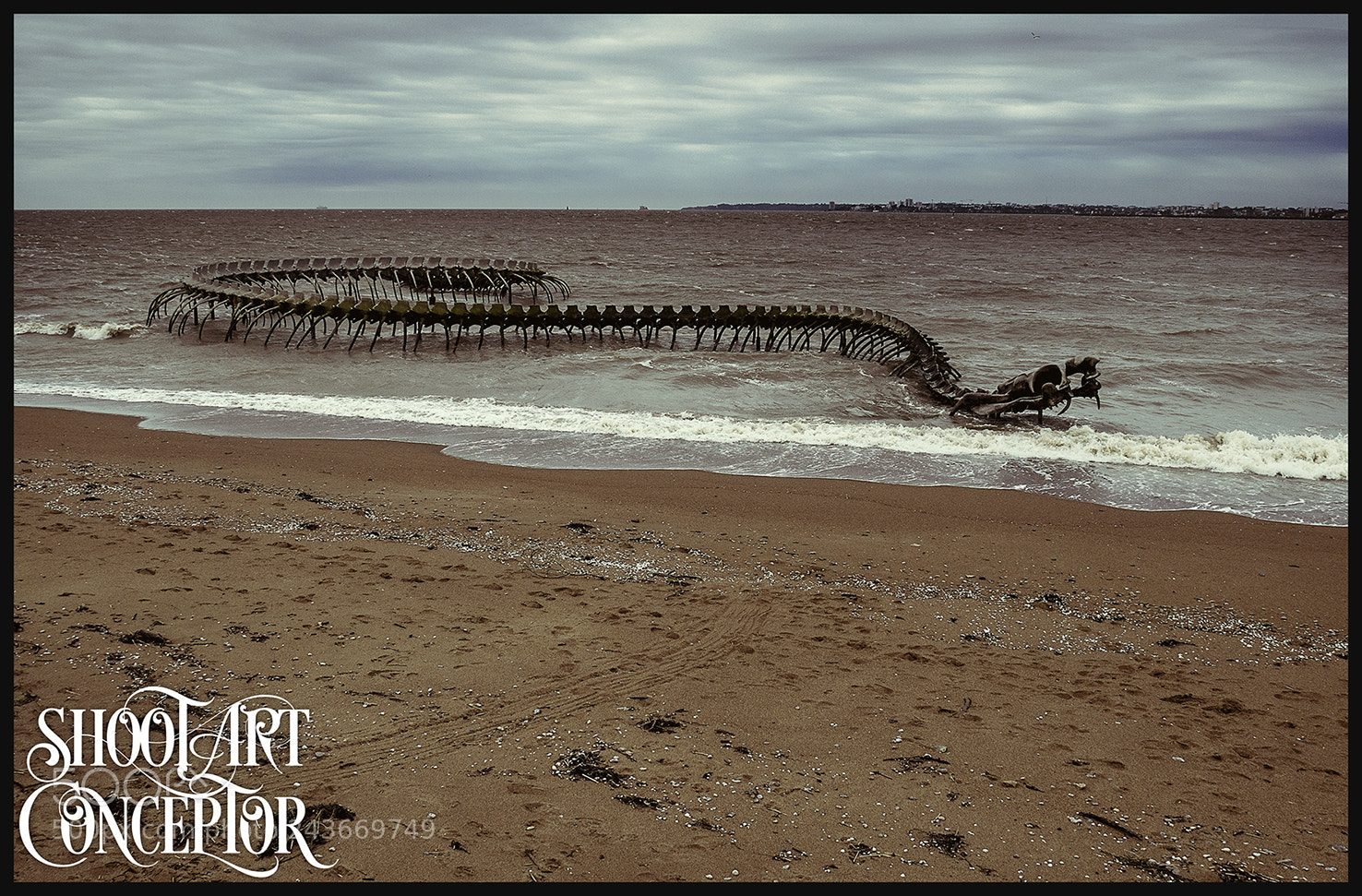 Panasonic Lumix DMC-G85 (Lumix DMC-G80) sample photo. Serpent d'océan photography