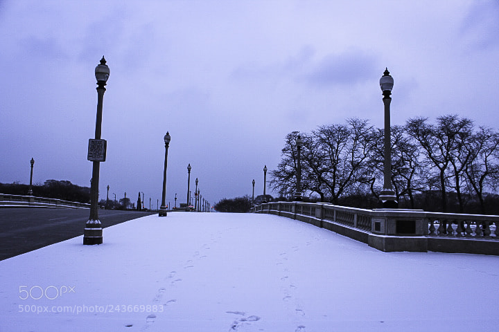 Canon EOS 1200D (EOS Rebel T5 / EOS Kiss X70 / EOS Hi) sample photo. Gloomy chicago photography