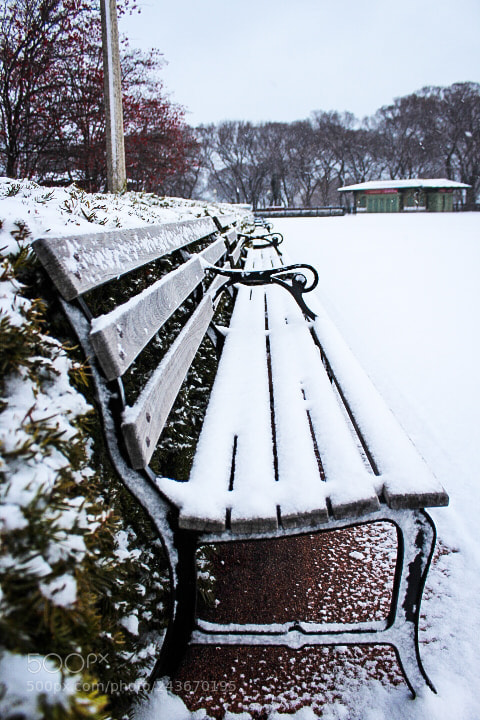 Canon EOS 1200D (EOS Rebel T5 / EOS Kiss X70 / EOS Hi) sample photo. Snowedin photography