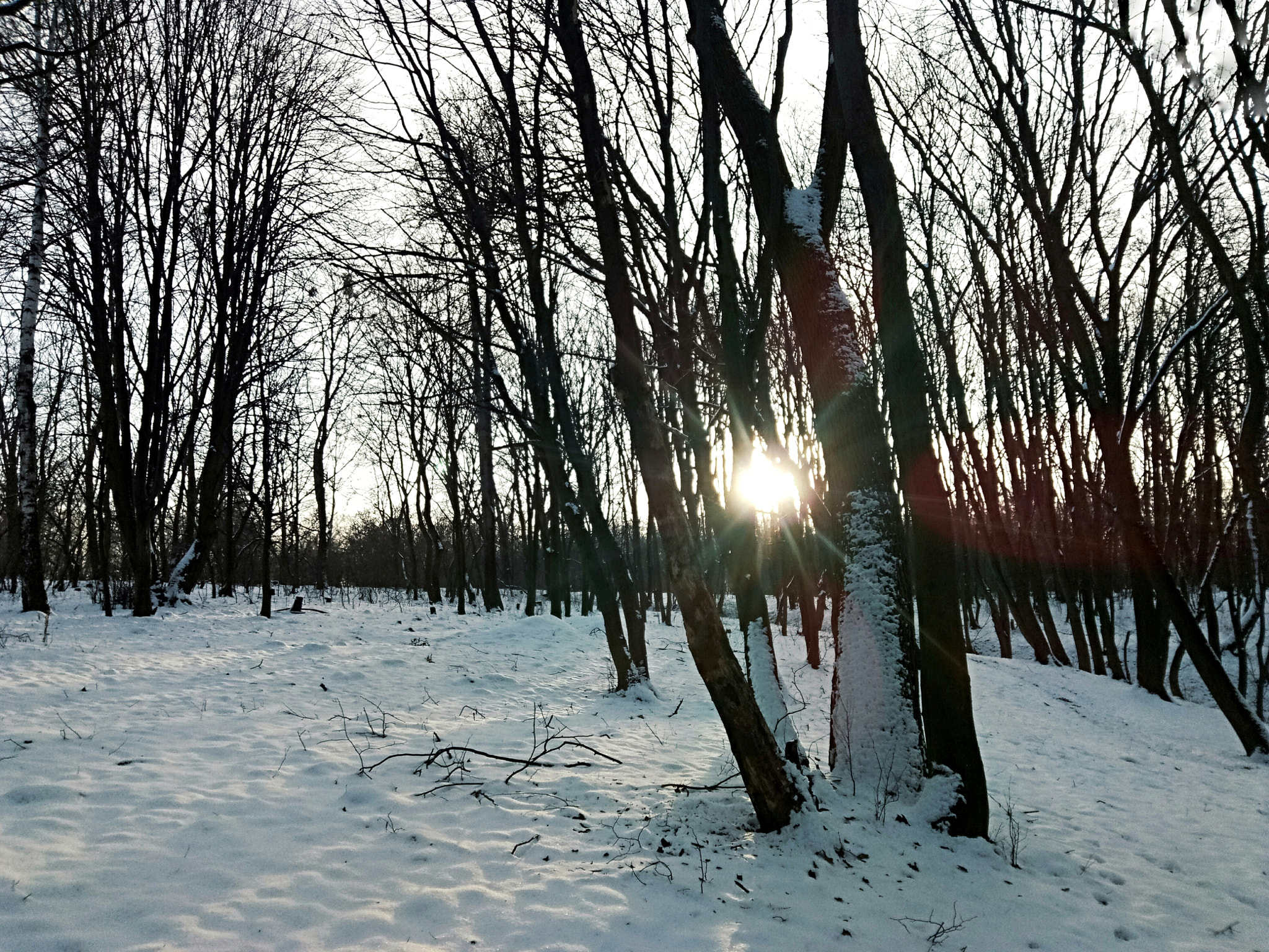 Meizu U20 sample photo
