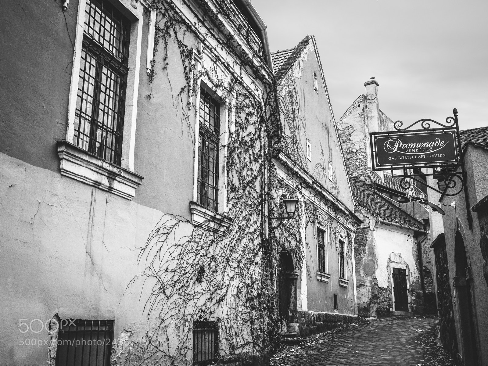 Panasonic Lumix DC-GH5 sample photo. Old street of szentendre photography