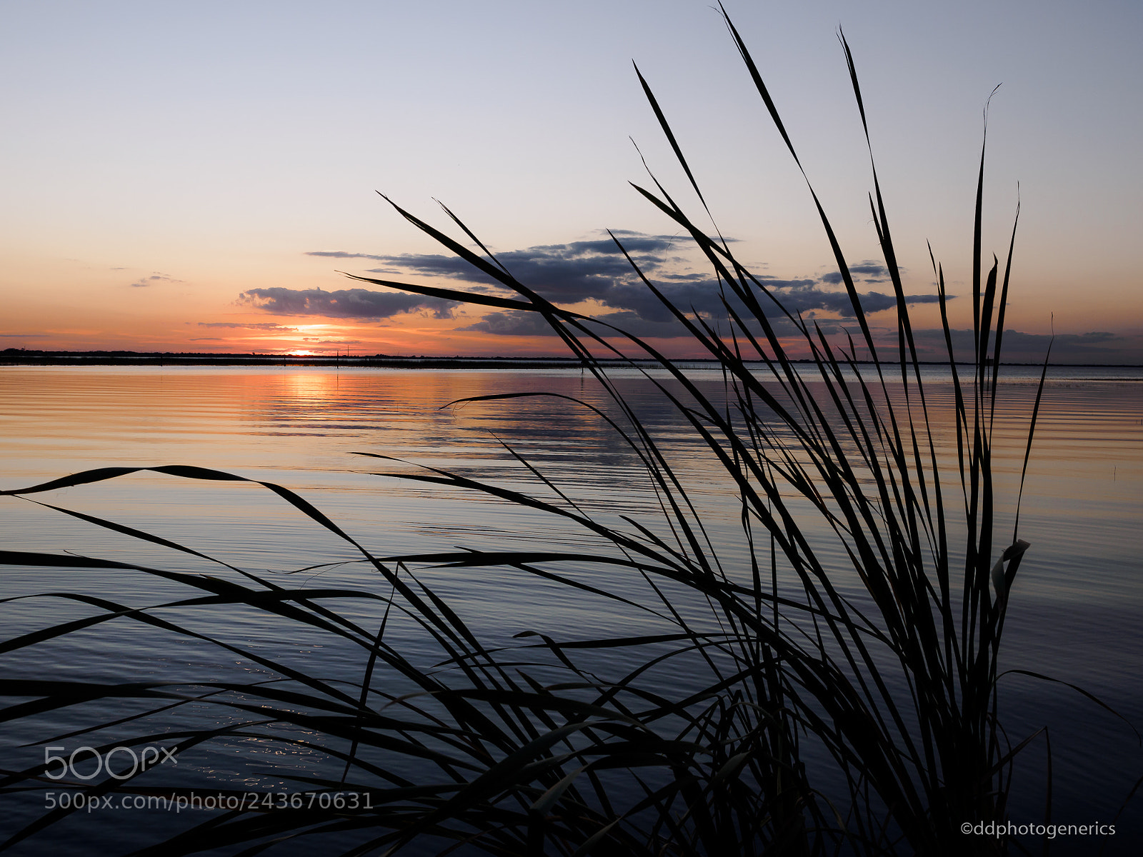 Olympus OM-D E-M1 sample photo. Peace be with you photography
