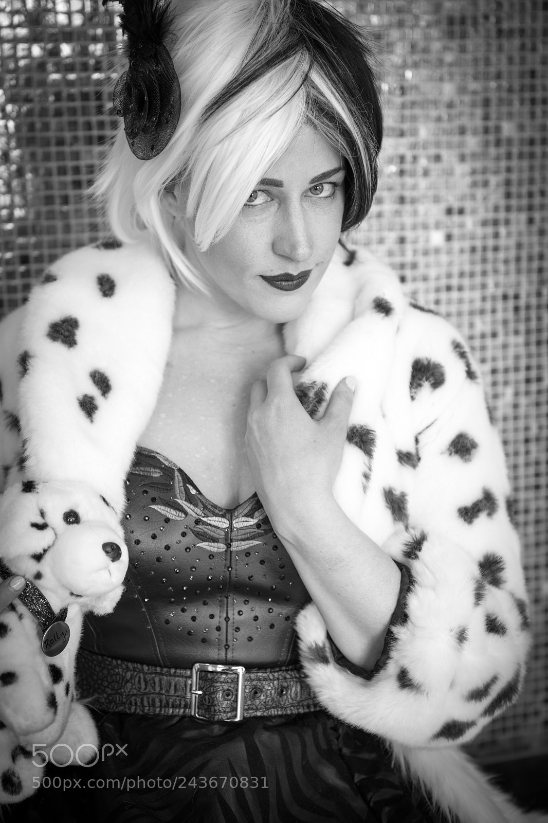 Nikon D850 sample photo. Cruella de vil photography