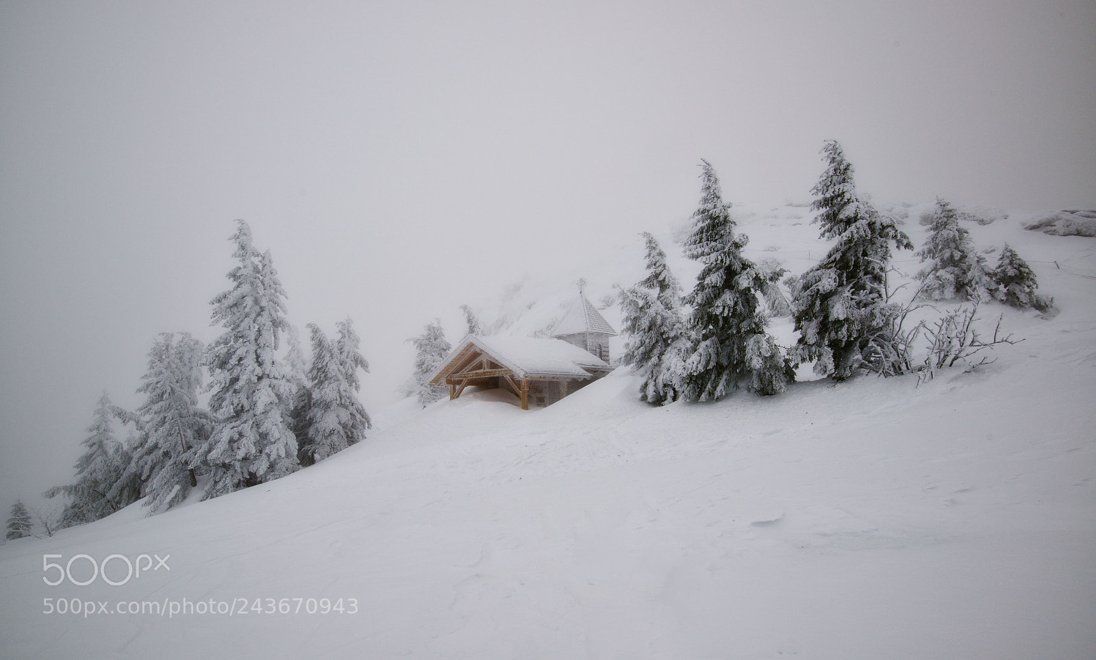 Nikon D800 sample photo. Its wintertime photography