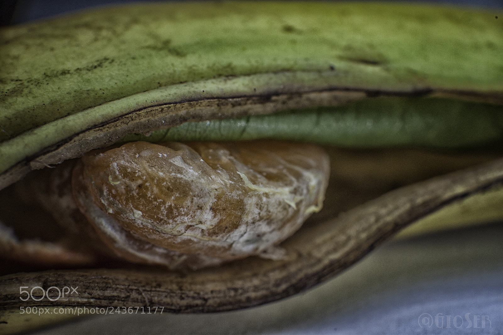 Canon EOS 500D (EOS Rebel T1i / EOS Kiss X3) sample photo. The banana monster eats photography