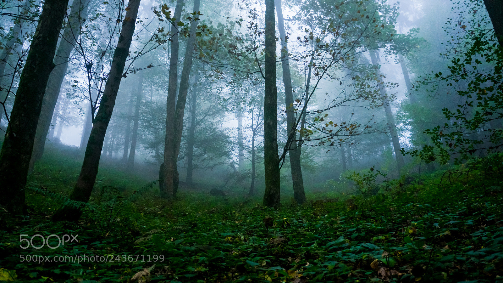 Sony Alpha NEX-5R sample photo. Long dark photography