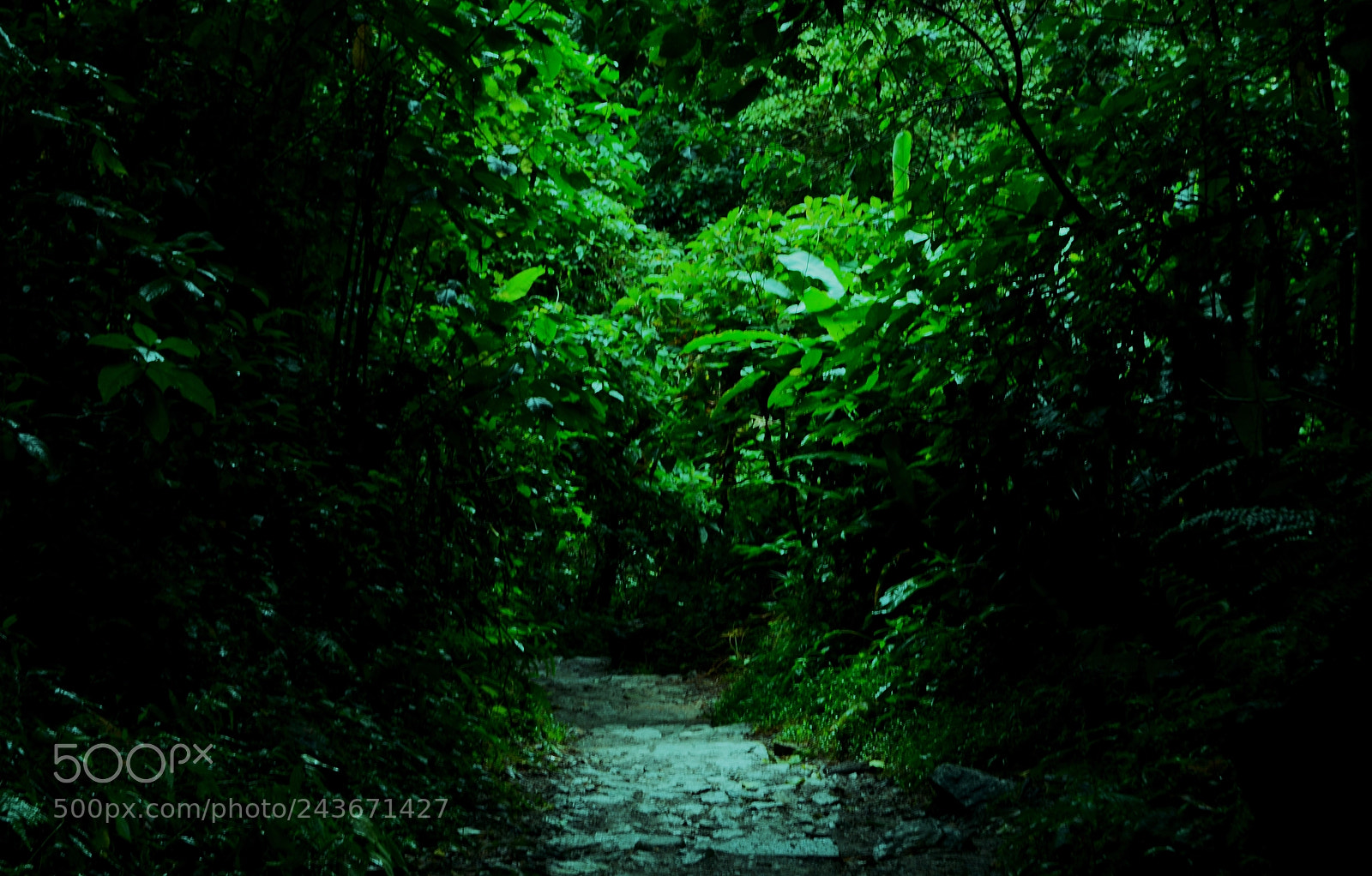 Nikon D5100 sample photo. Trekk photography