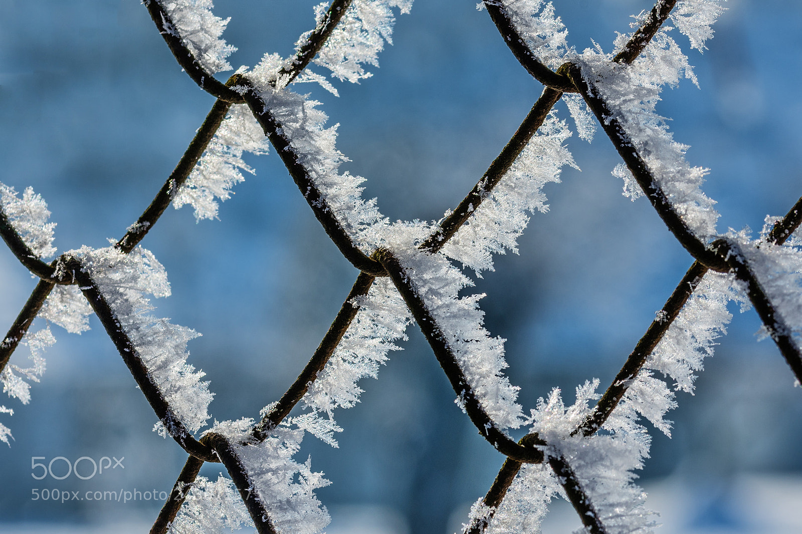 Nikon D7200 sample photo. A winter story i photography