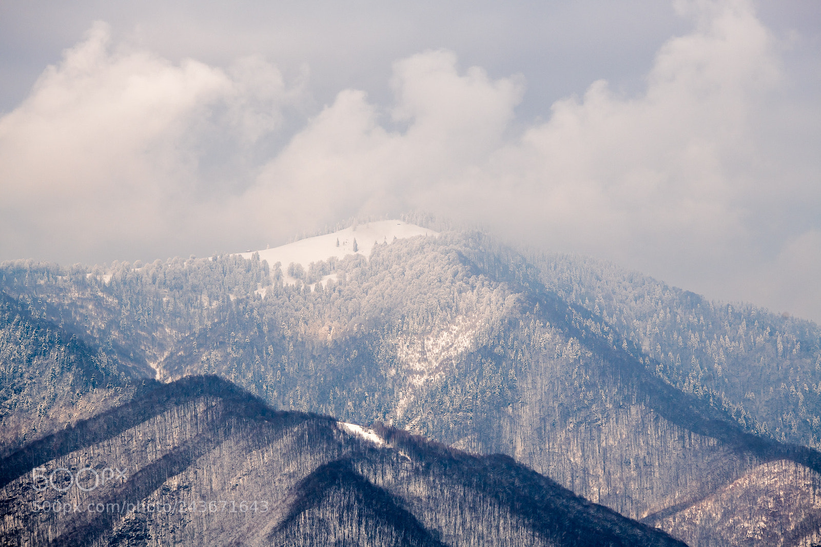 Nikon D850 sample photo. White peaks photography