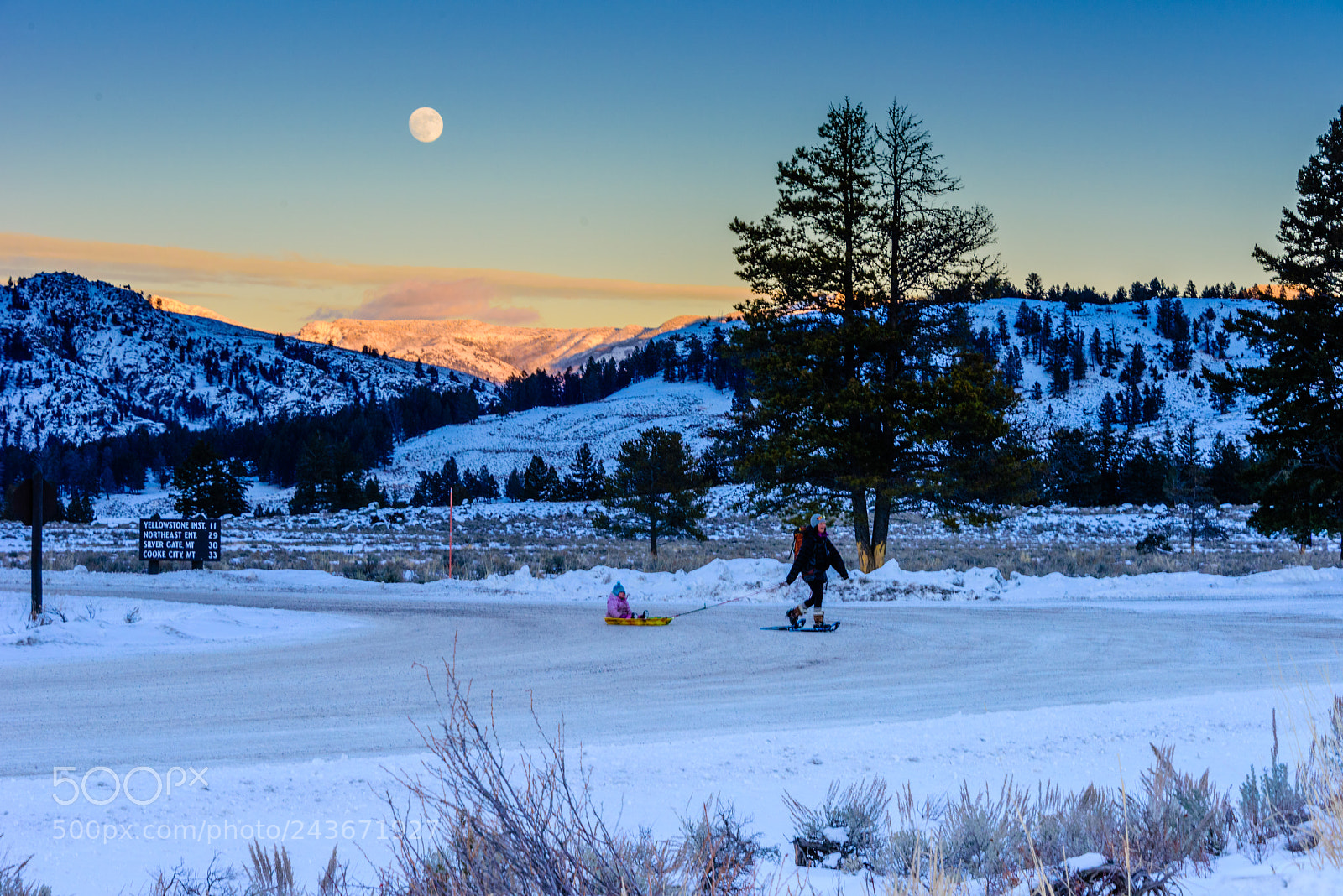 Nikon D810 sample photo. Yellowstone fun photography