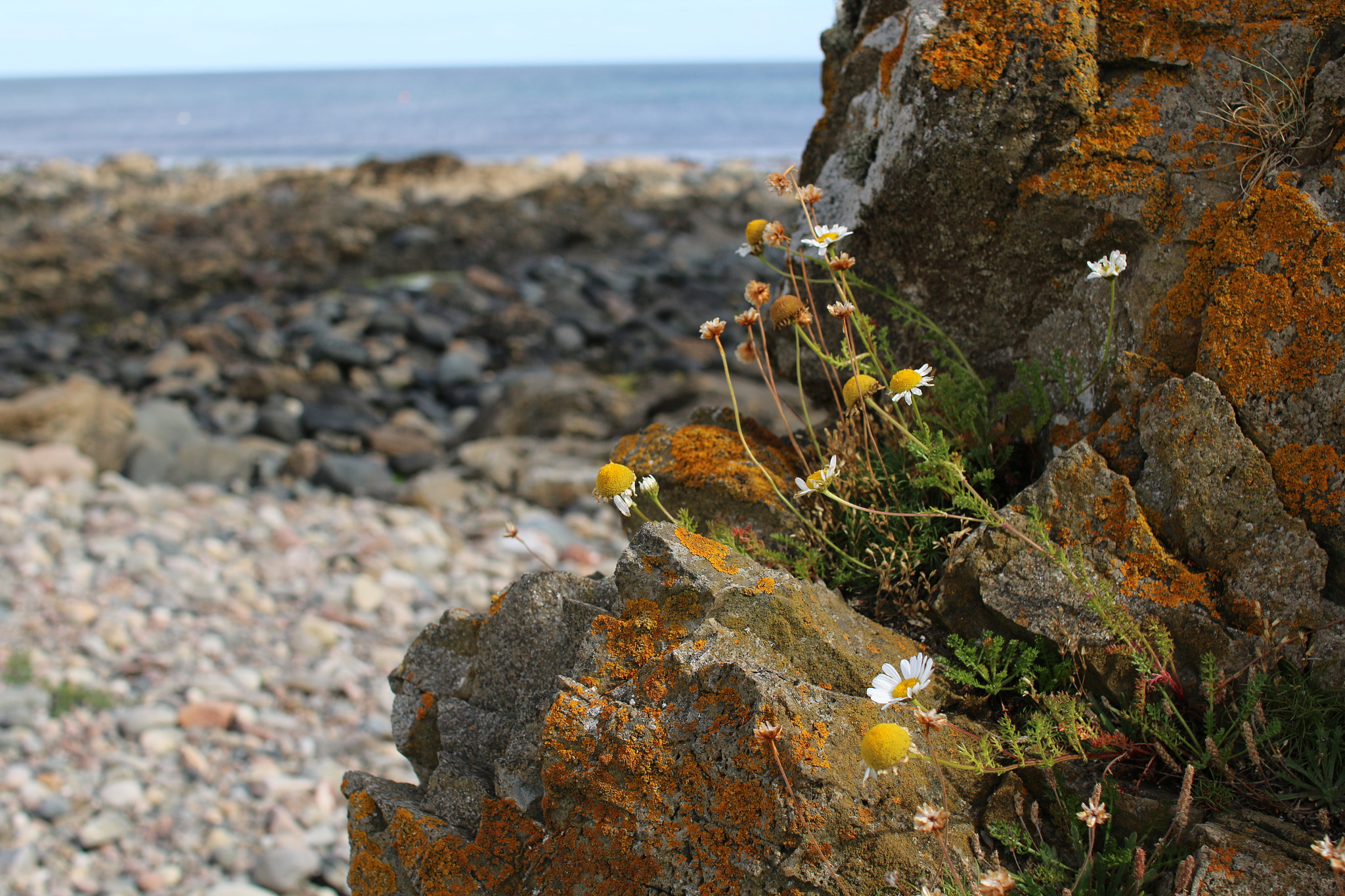 Sigma 30mm F1.4 EX DC HSM sample photo. Mm landscape photography