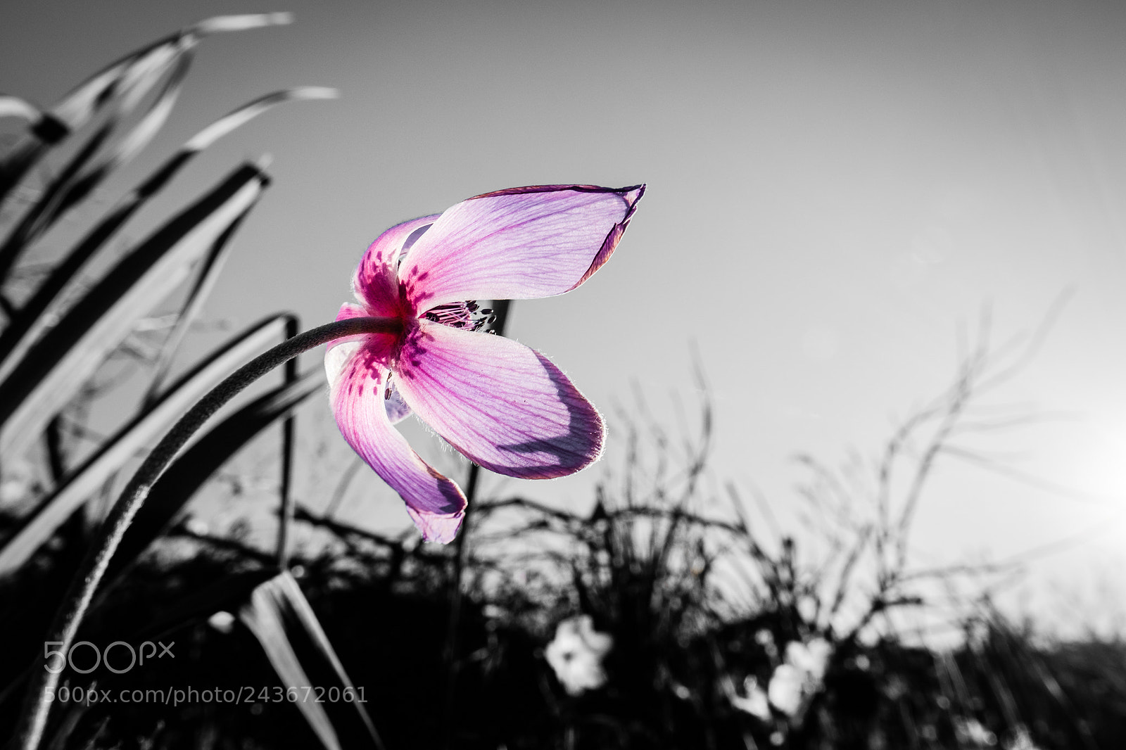 Fujifilm X-T1 sample photo. Soaking up the sun photography