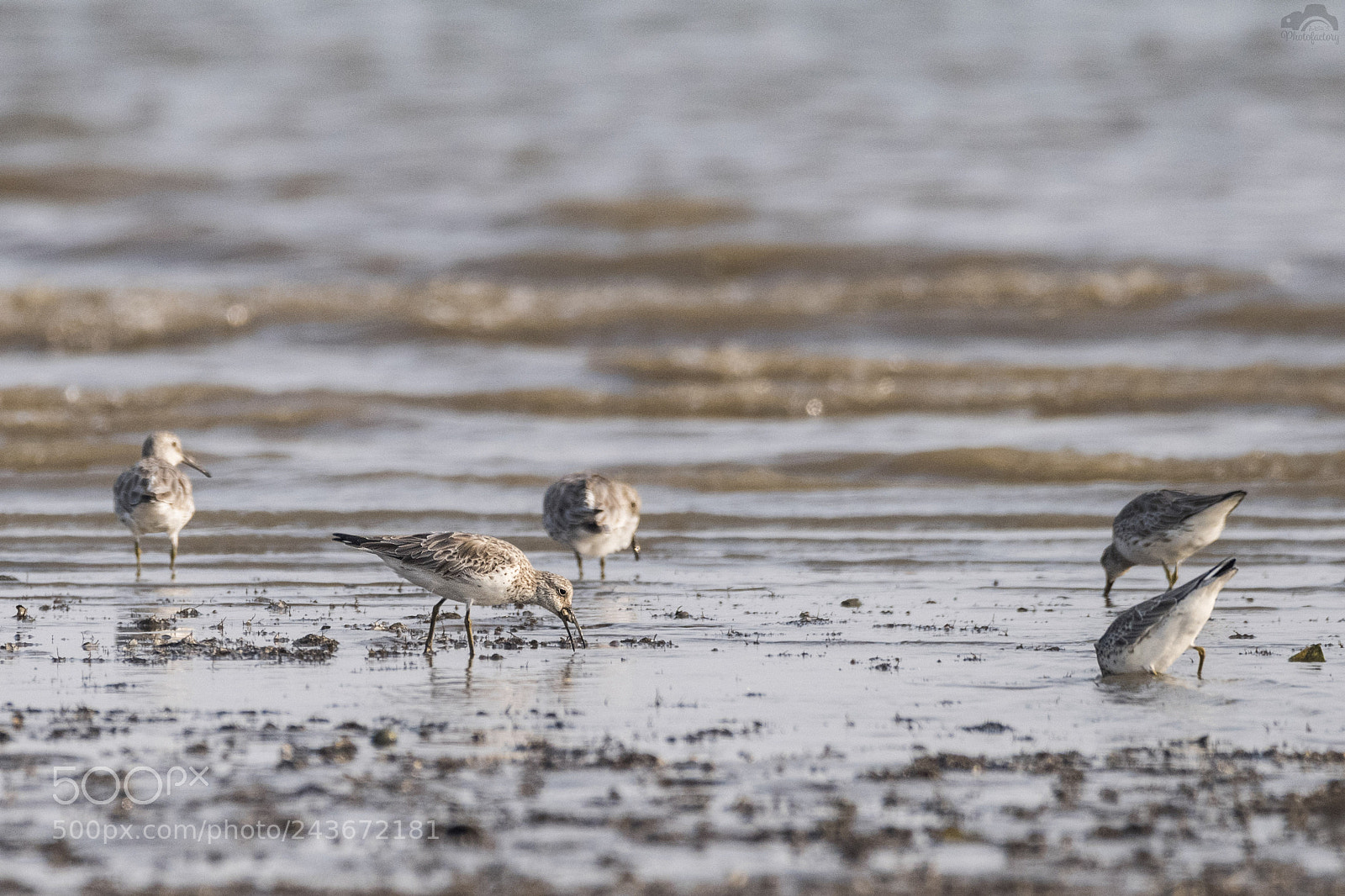 Nikon D810 sample photo. Great knot with a photography