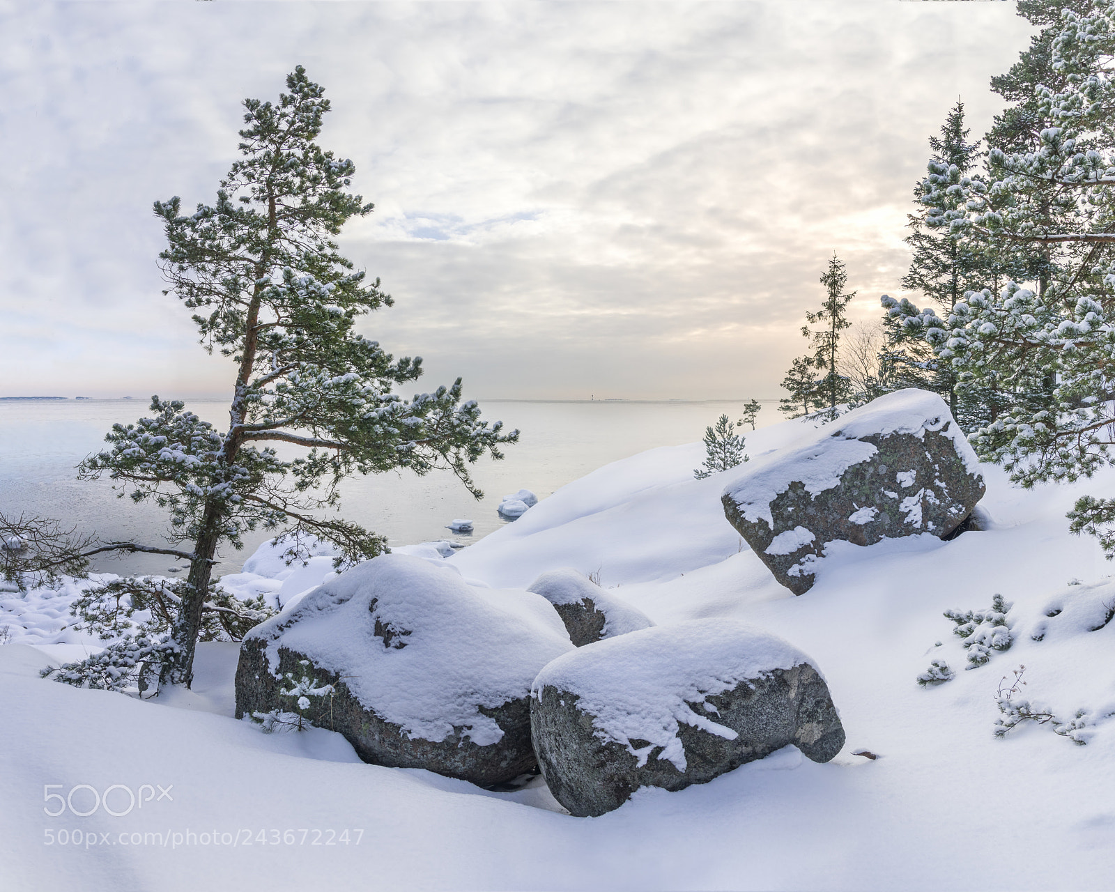 Canon EOS 7D Mark II sample photo. Winter morning photography