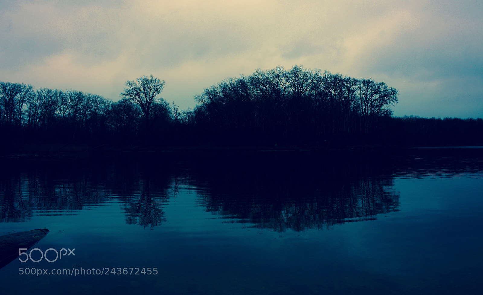 Nikon D7200 sample photo. Soft photography
