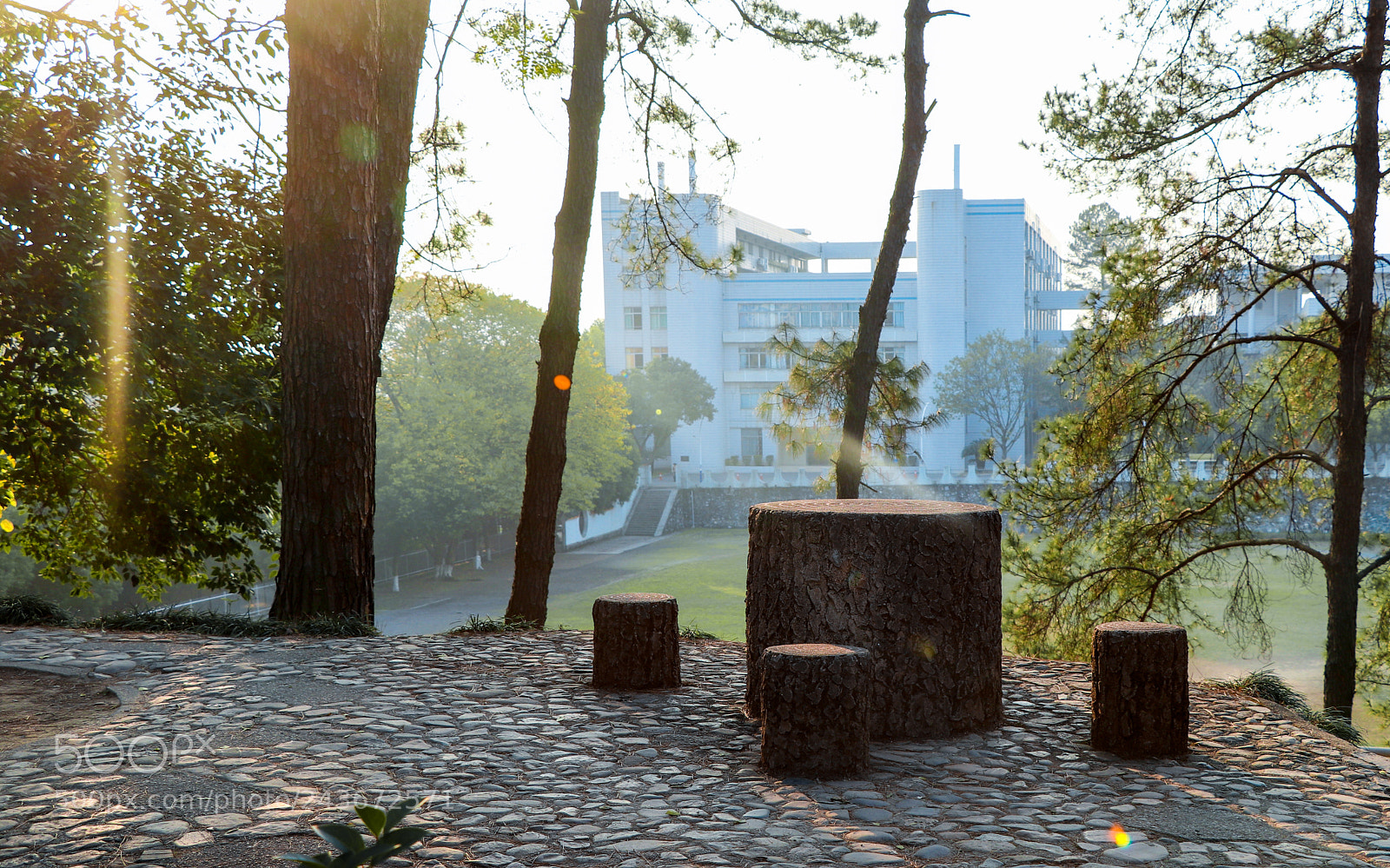 Canon EOS 77D (EOS 9000D / EOS 770D) sample photo. Lone path photography