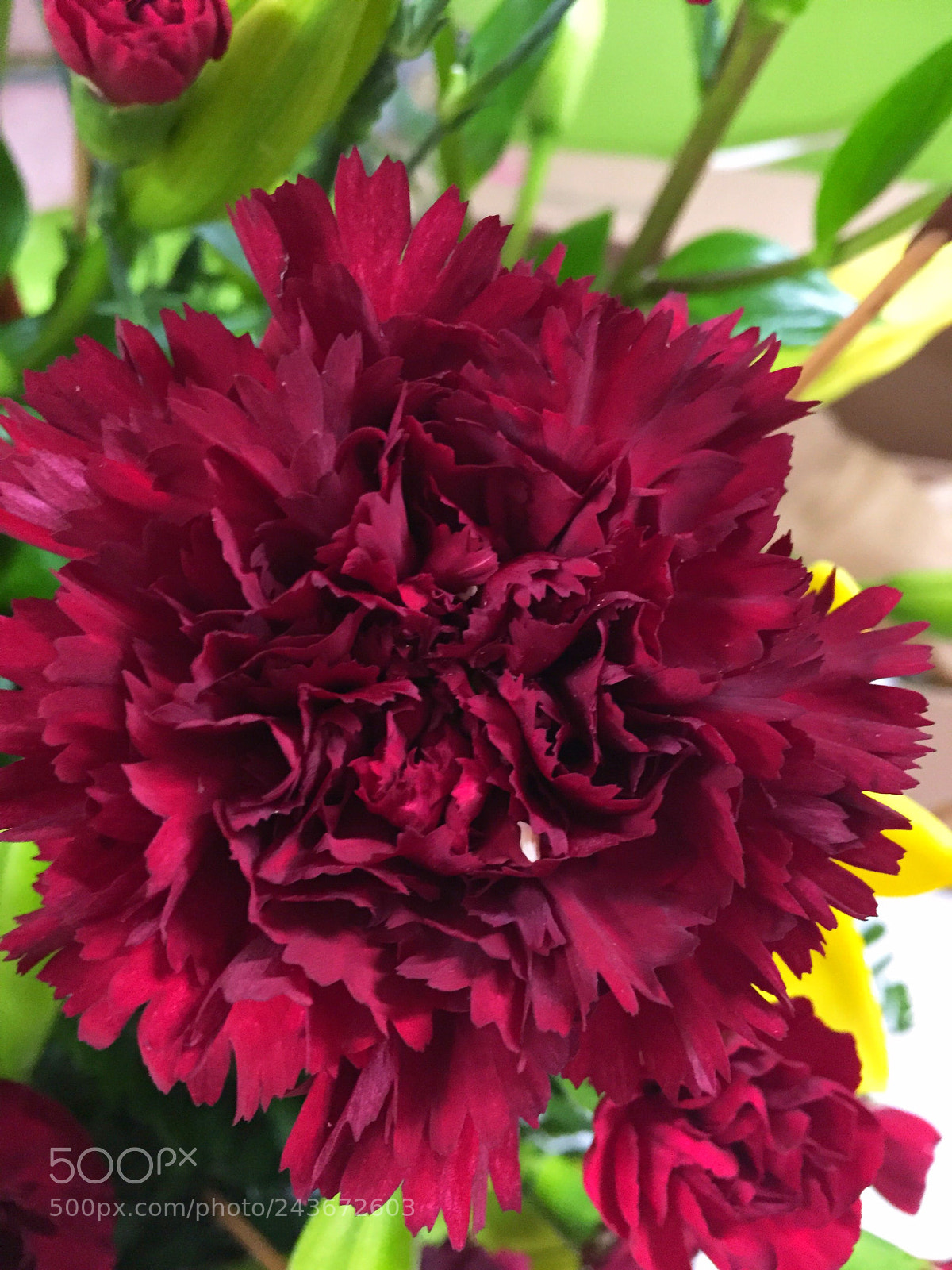 Apple iPhone 6 Plus sample photo. Today’s lower photography