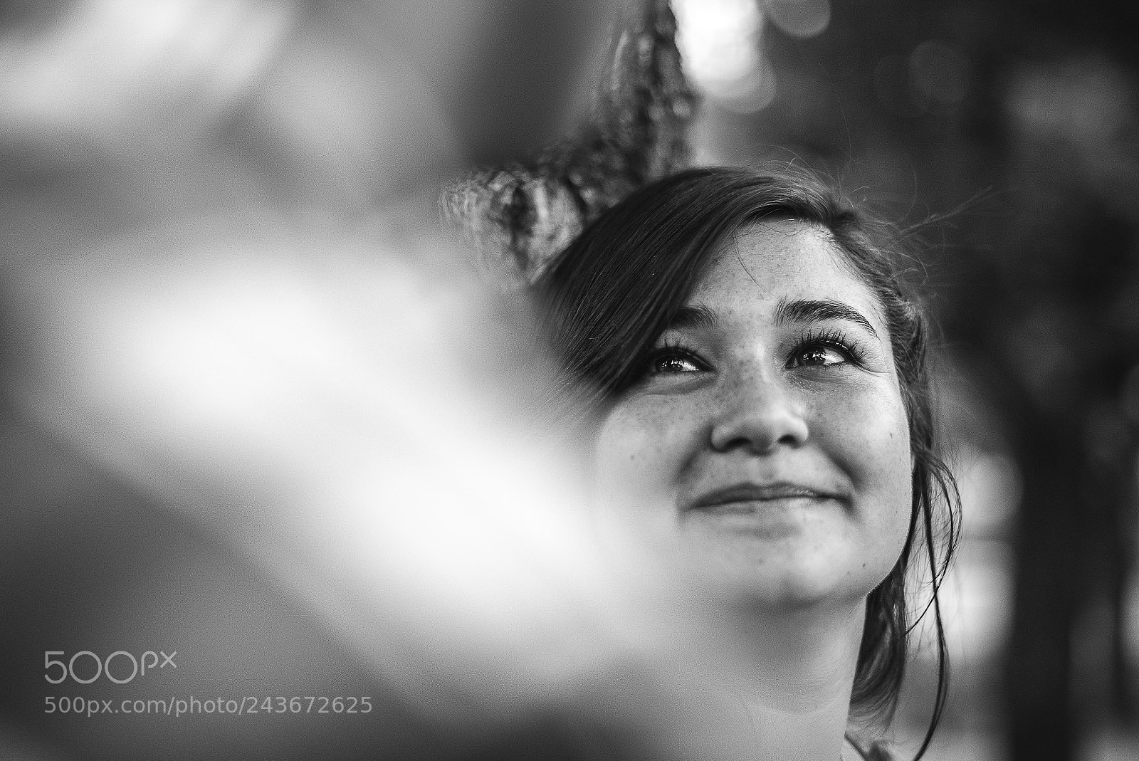 Nikon D610 sample photo. B&w photography