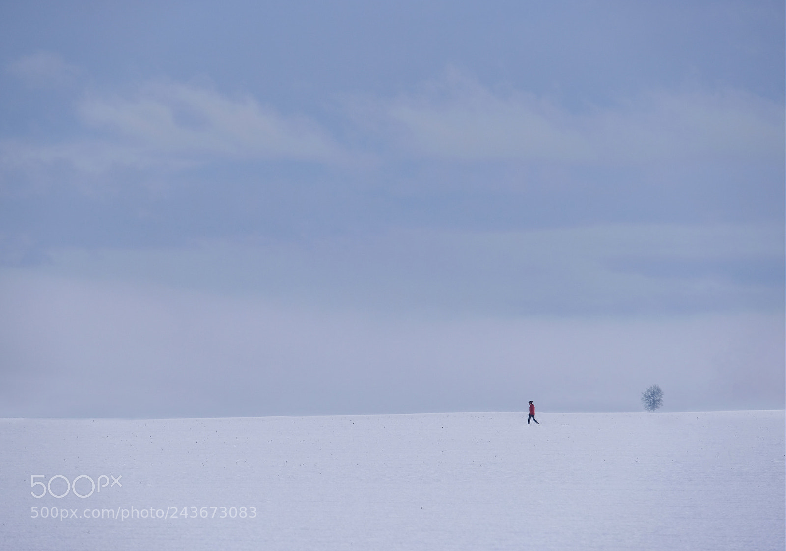 Fujifilm X-T2 sample photo. Winter simplicity photography