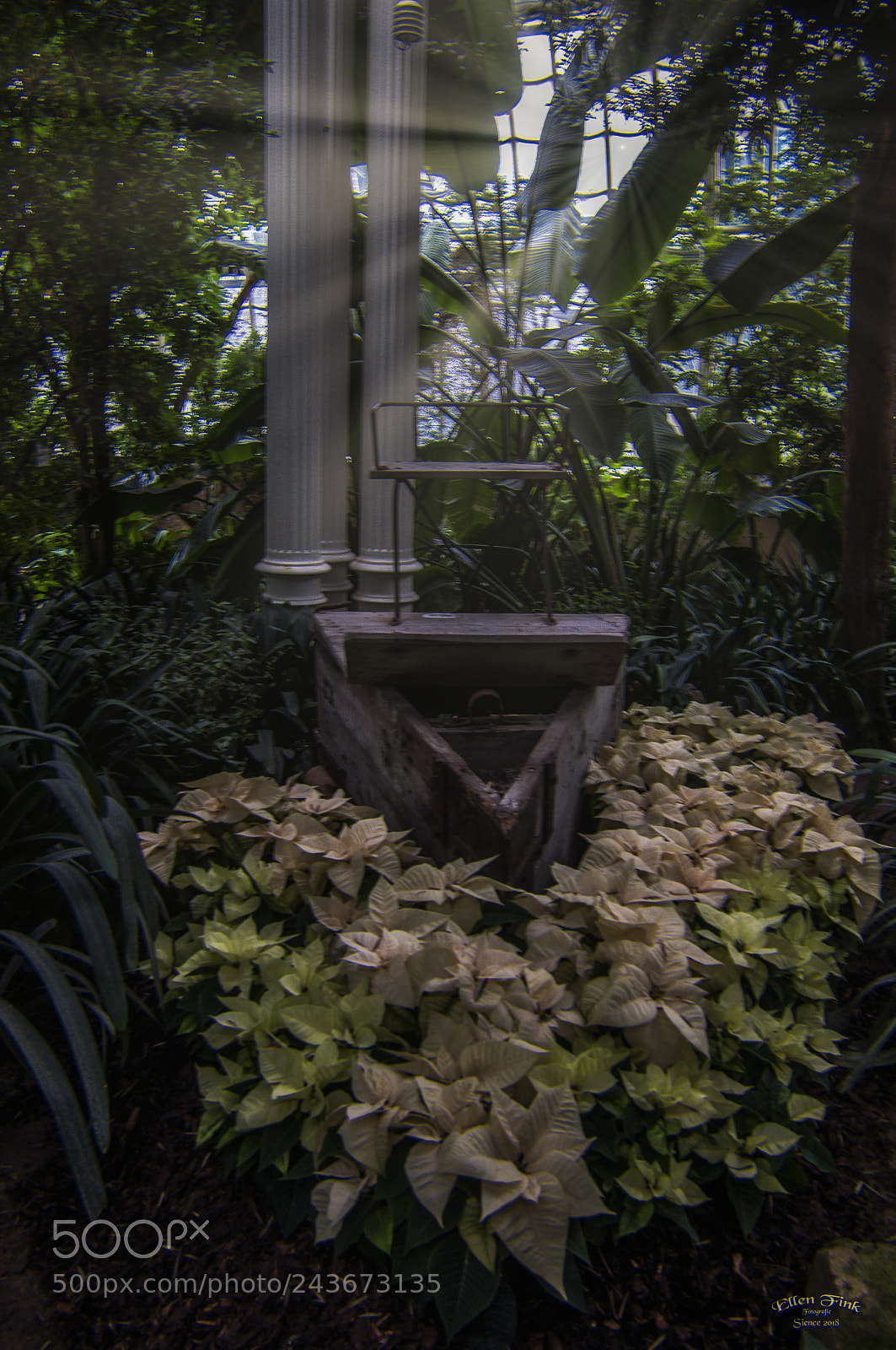 Nikon D90 sample photo. Silence photography