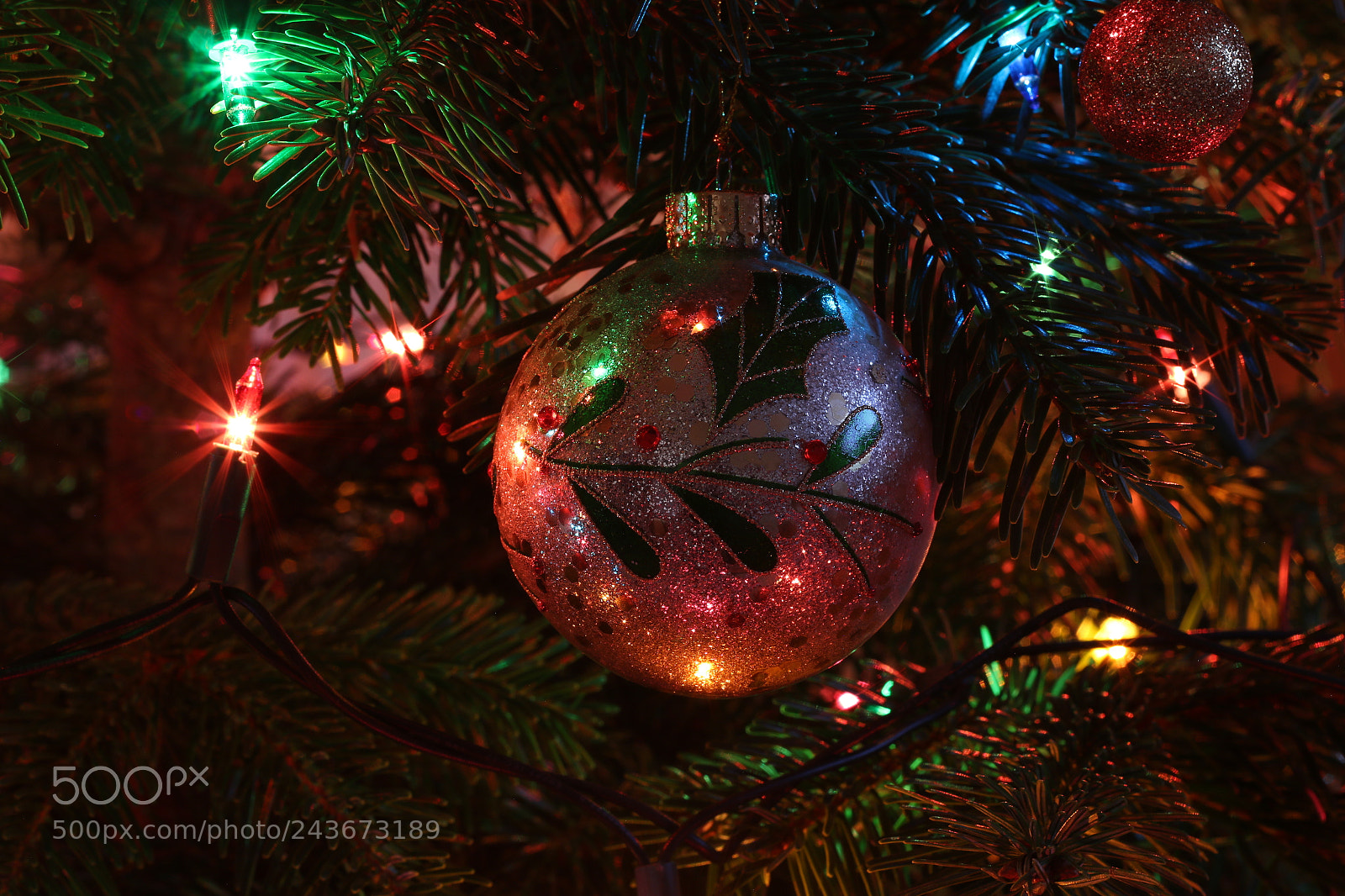 Canon EOS 70D + Canon EF 50mm F1.8 II sample photo. Img photography