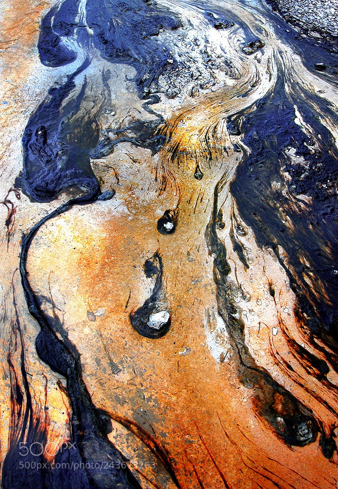 Nikon D80 sample photo. Tear drops photography