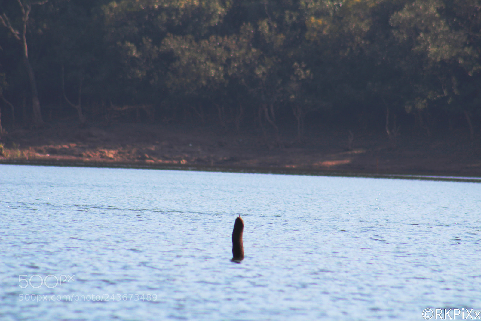 Canon EOS 1300D (EOS Rebel T6 / EOS Kiss X80) sample photo. Lake photography