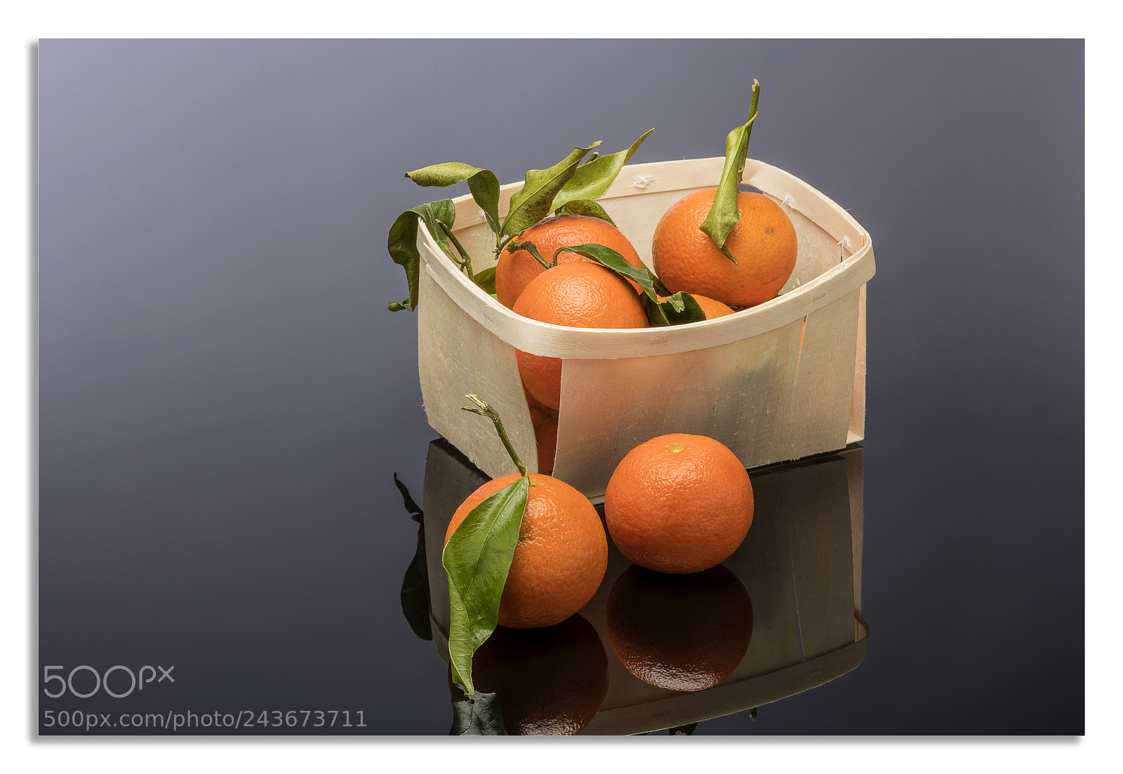 Nikon D850 sample photo. Look for an image 1. photography