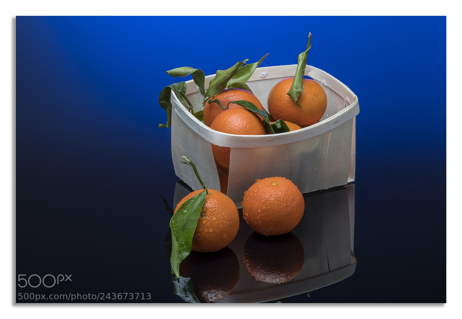 Nikon D850 sample photo. Look for an image 2. photography