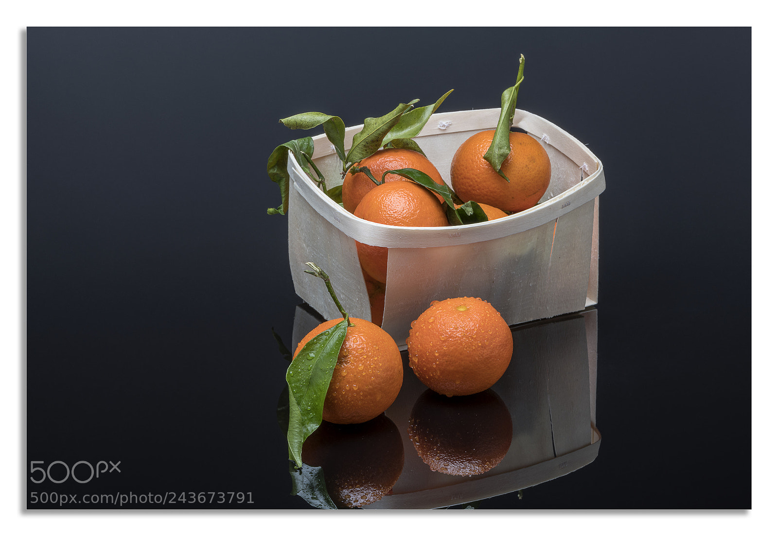 Nikon D850 sample photo. Look for an image 3. photography