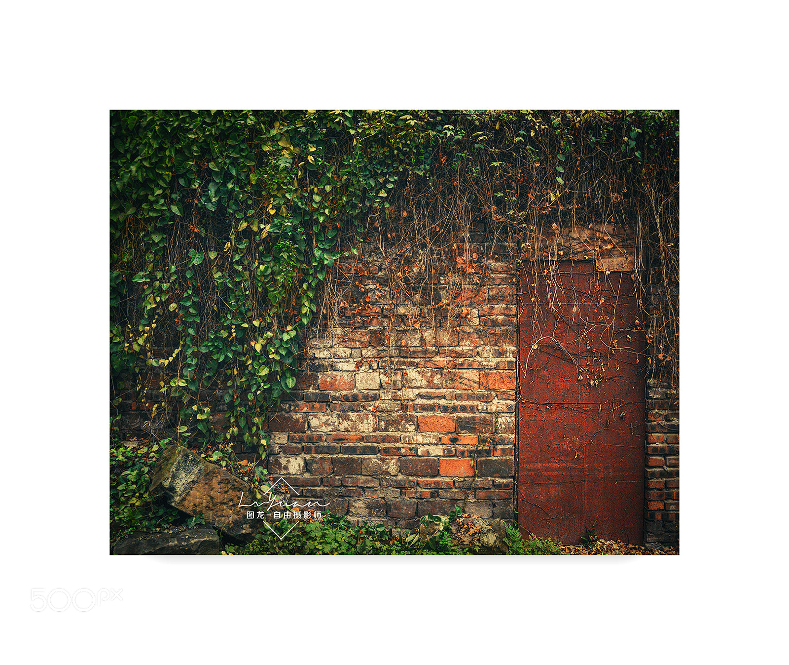 Sony a7 II sample photo. Untitled photography