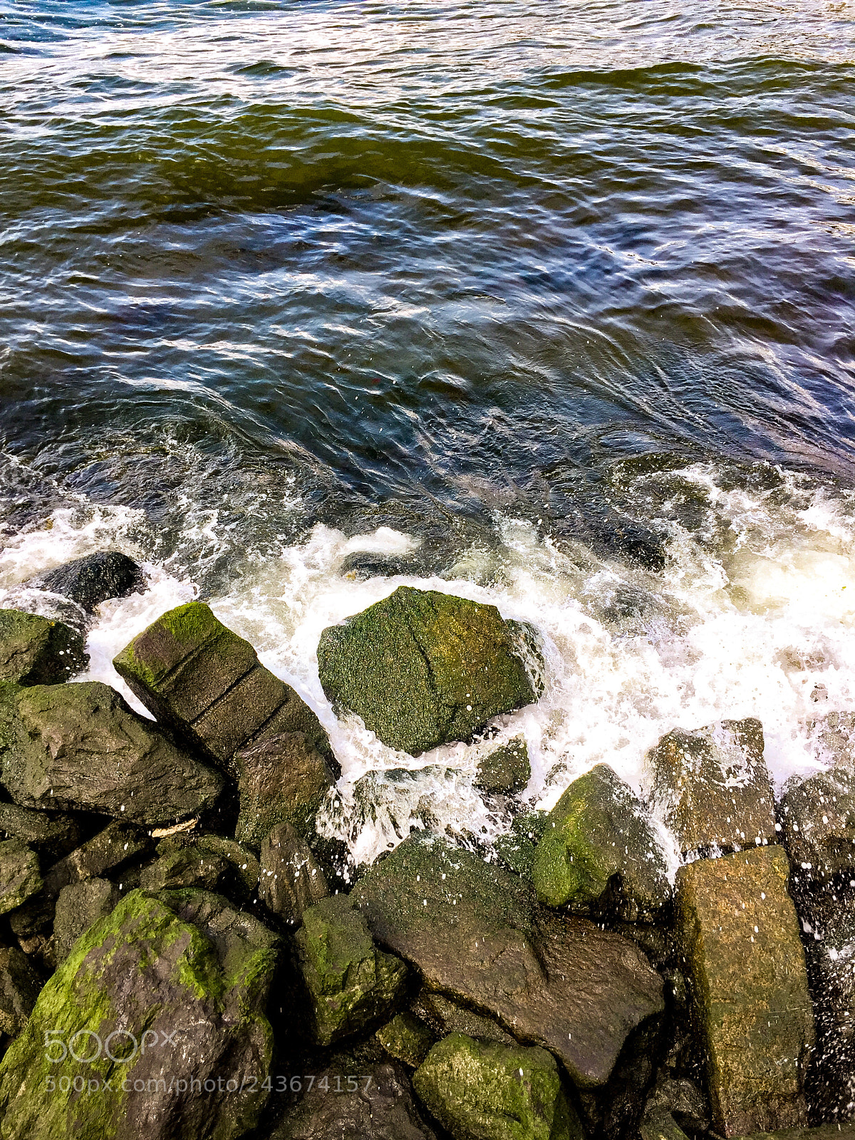 Apple iPhone 6 Plus sample photo. Untitled photography