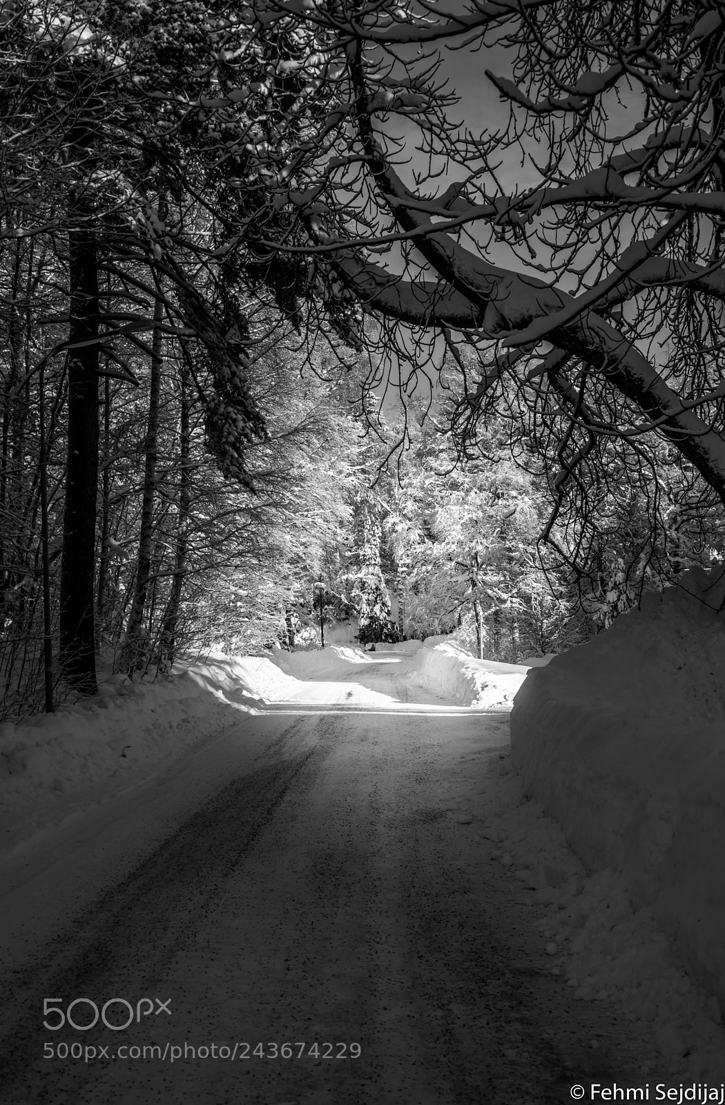 Nikon D610 sample photo. Untitled photography