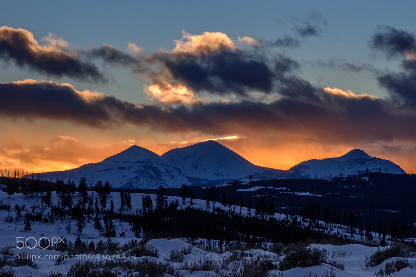 Nikon D810 sample photo. Winter sunset in yellowstone photography