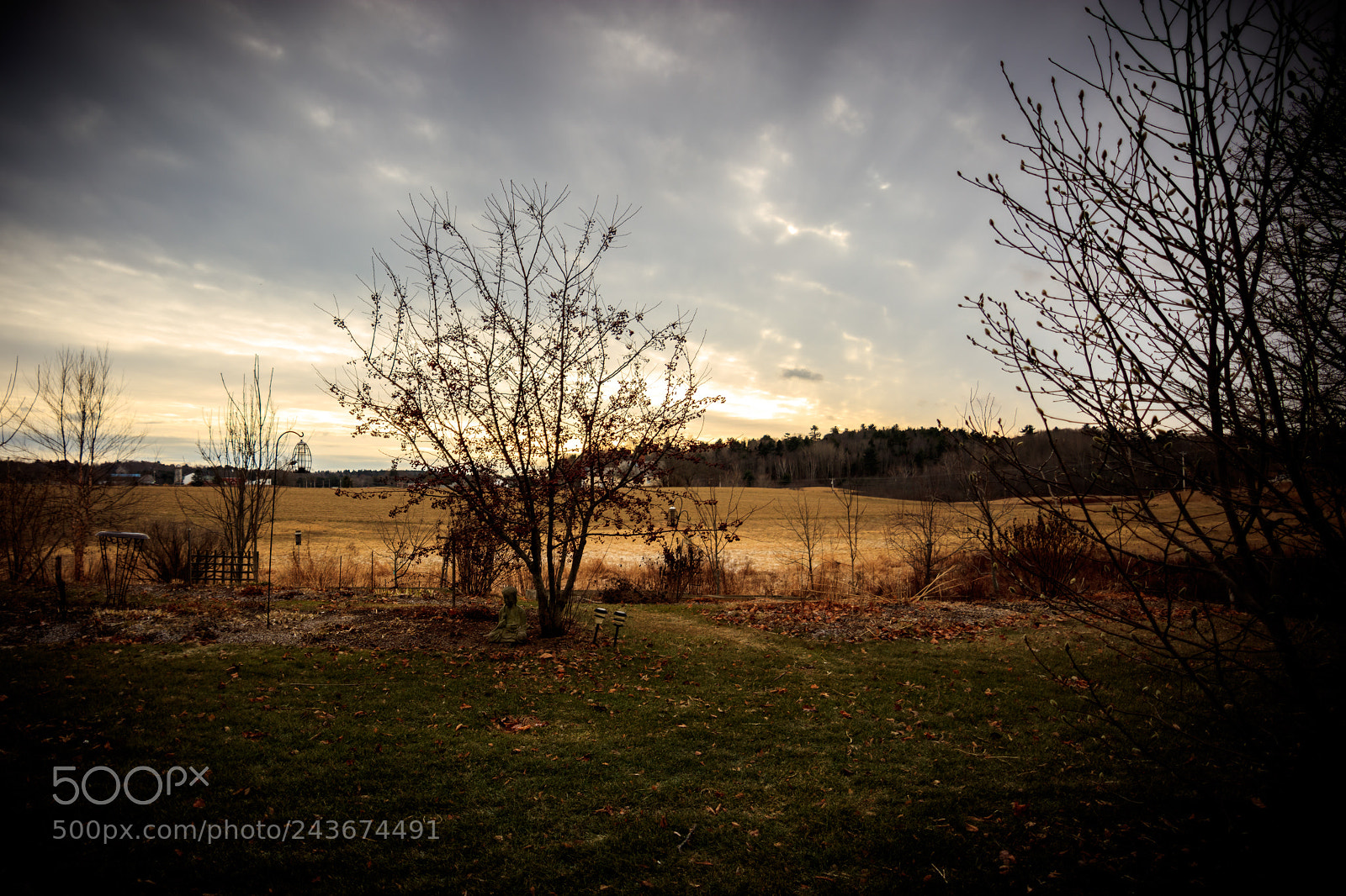 Canon EOS 5DS sample photo. Za photography