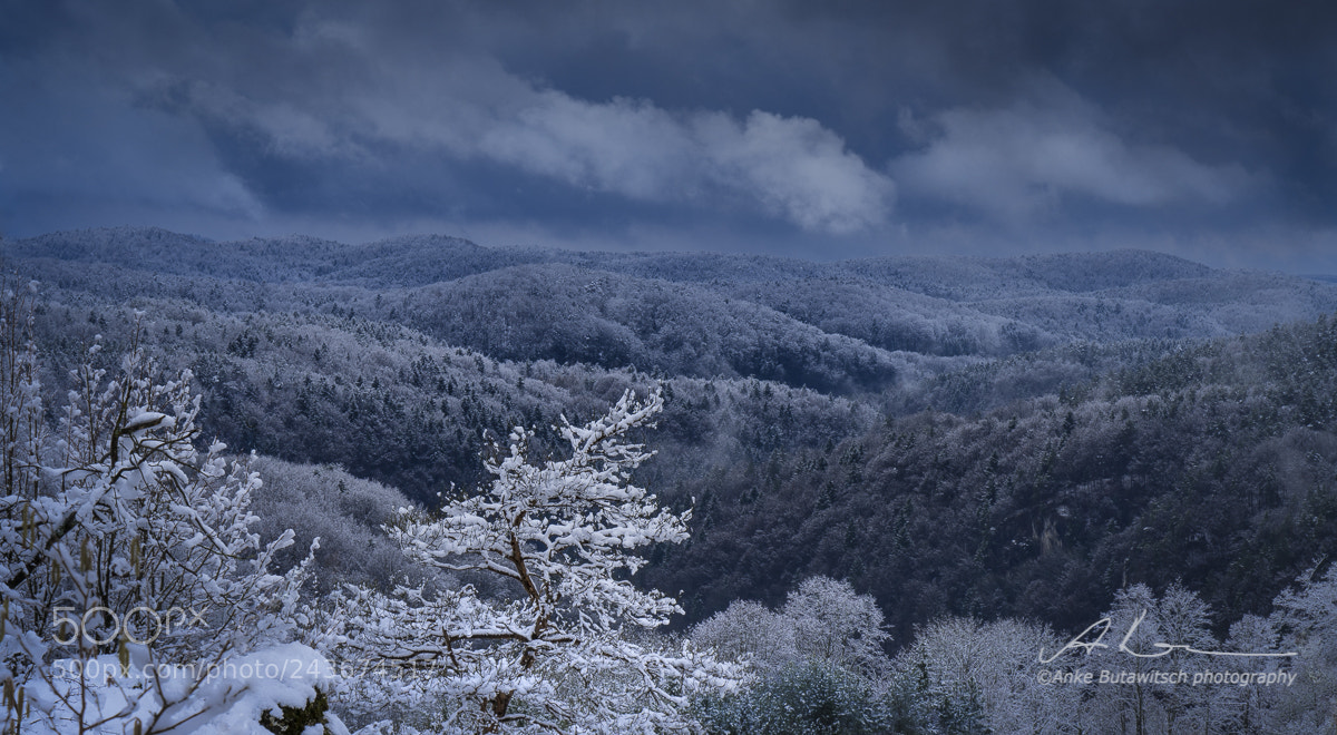 Sony a7R II sample photo. Winter impression photography