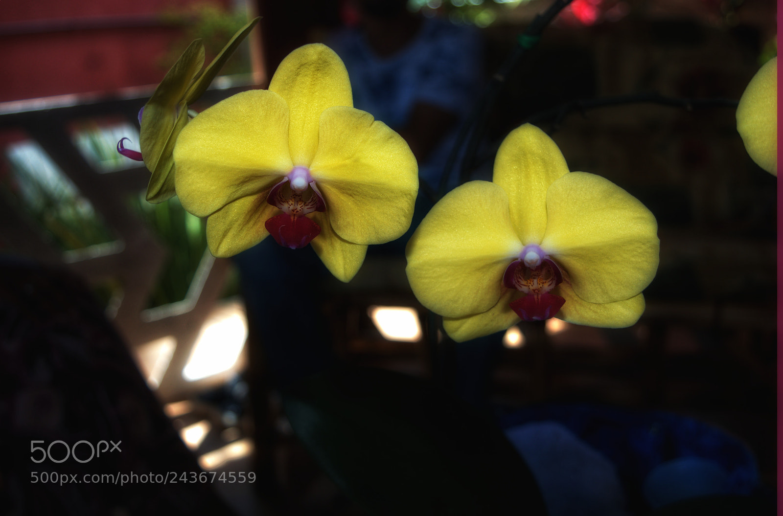 Nikon D3200 sample photo. Untitled photography