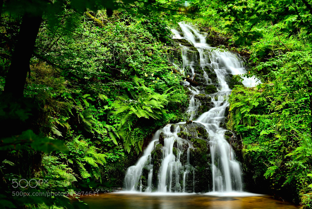 Nikon D800E sample photo. Waterfall in green forest photography