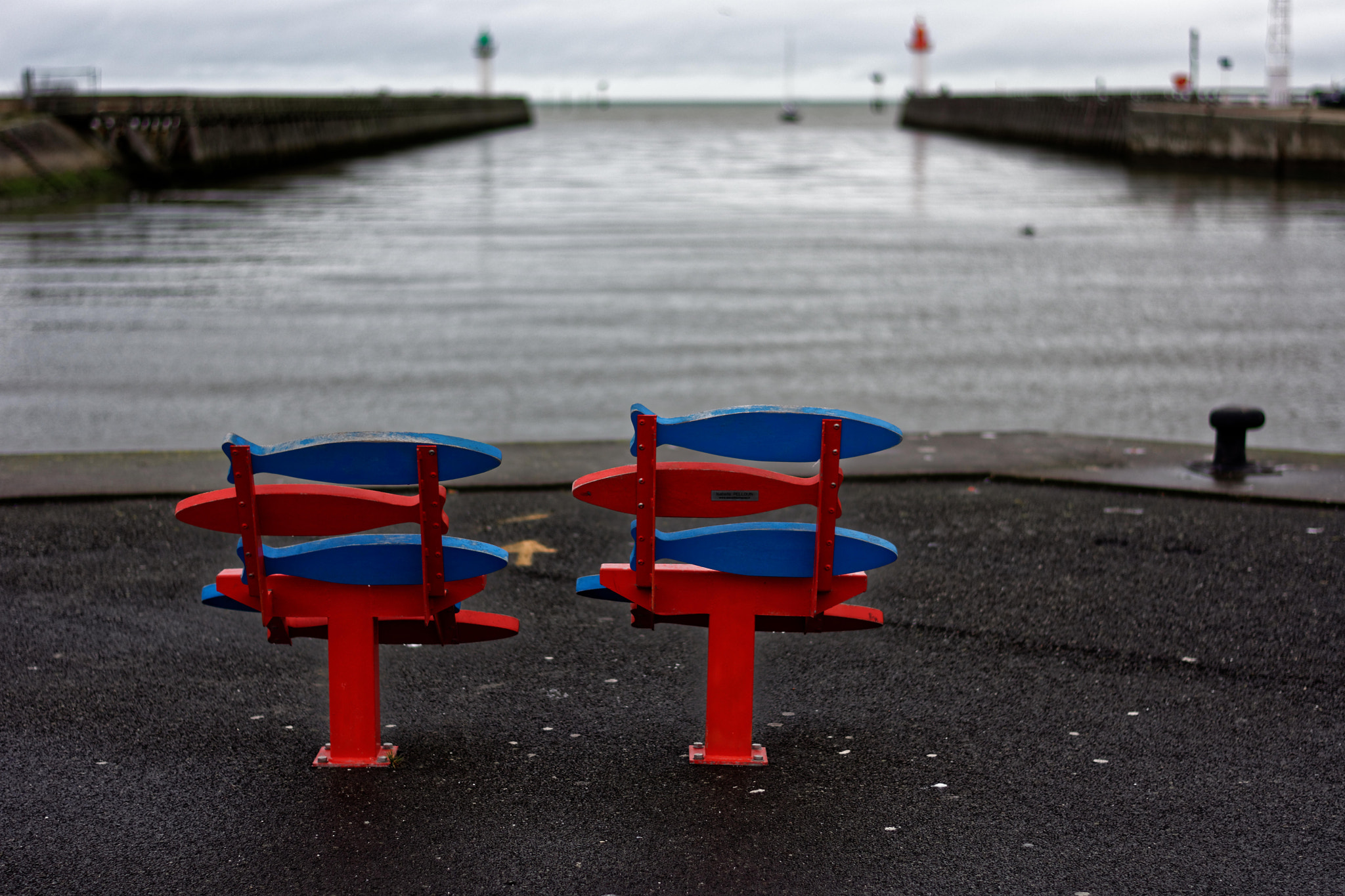 Nikon D7200 + Nikon AF-S Nikkor 50mm F1.8G sample photo. Banc de poissons photography