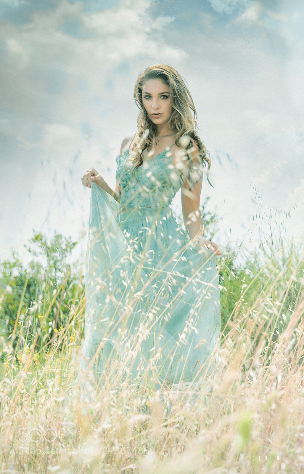Canon EOS-1D X sample photo. Sweet refrain photography