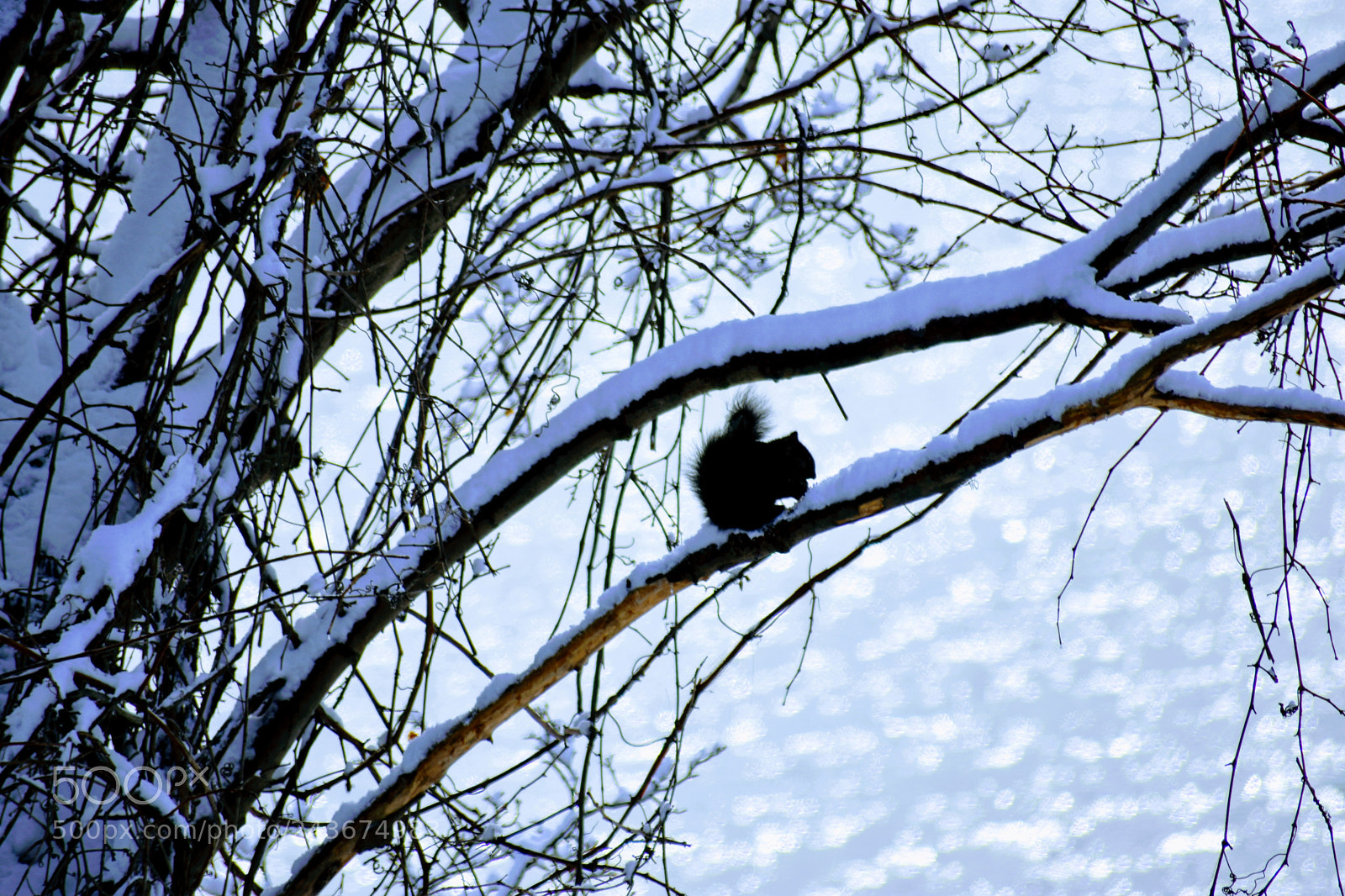 Nikon D3400 sample photo. Dsc photography
