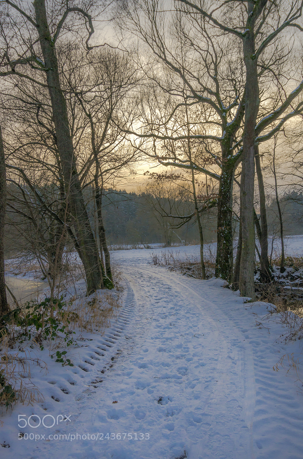 Pentax K-5 sample photo. Icy road photography