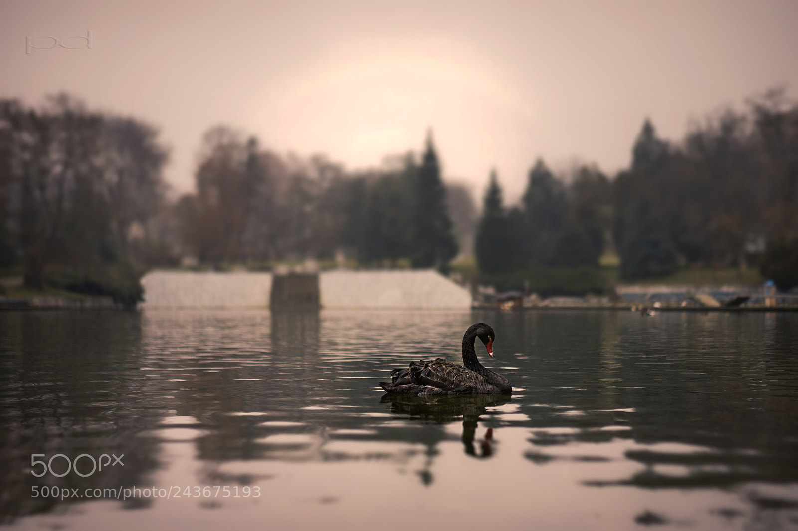Sony a7 sample photo. *** photography