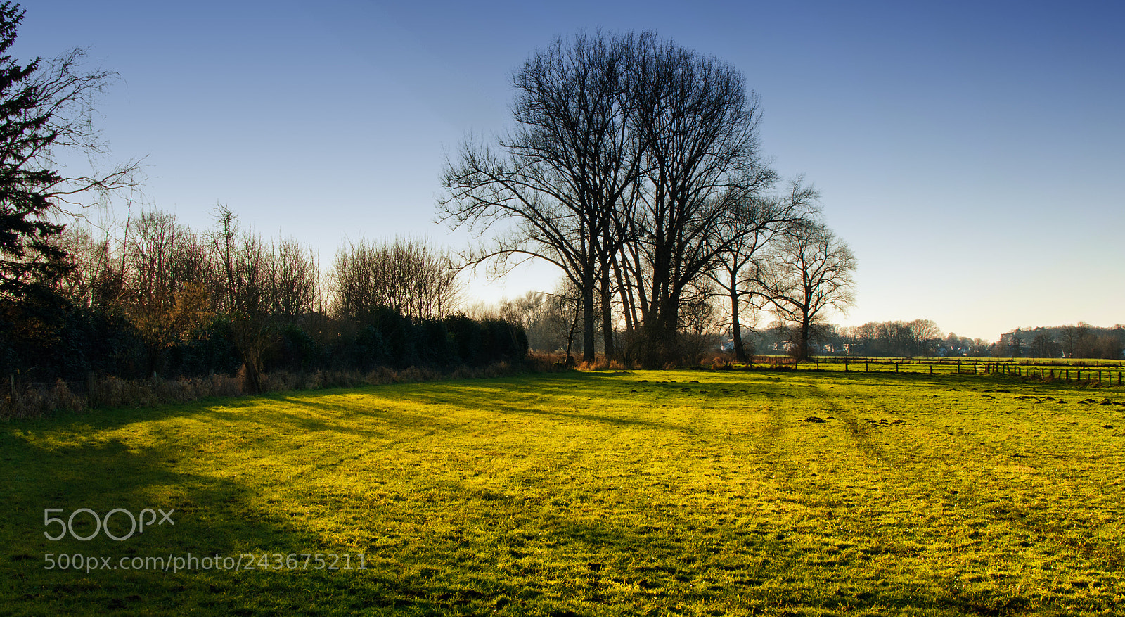 Nikon D5000 sample photo. Shadows on the meadow photography